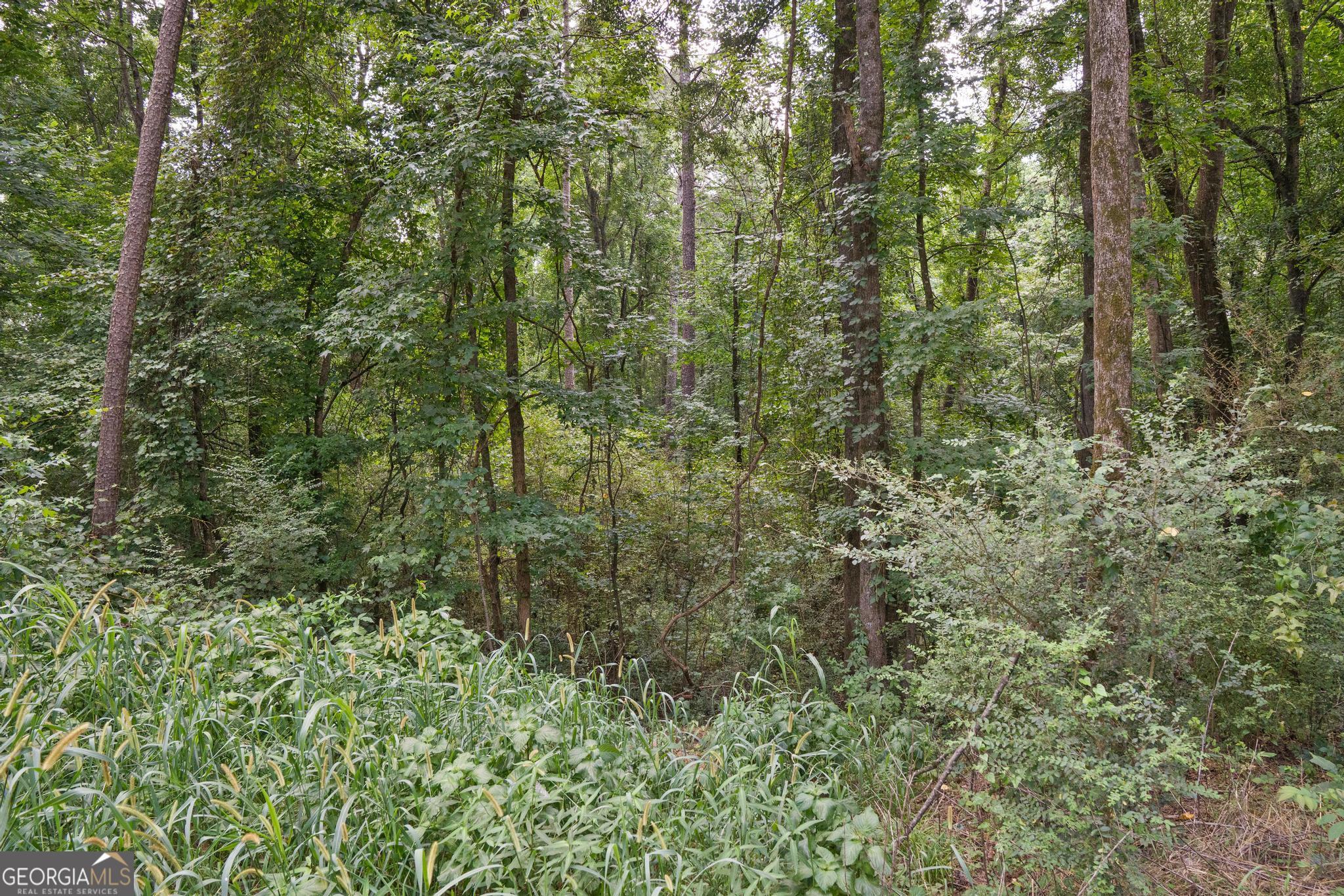 90 Askin Place Property Photo 2
