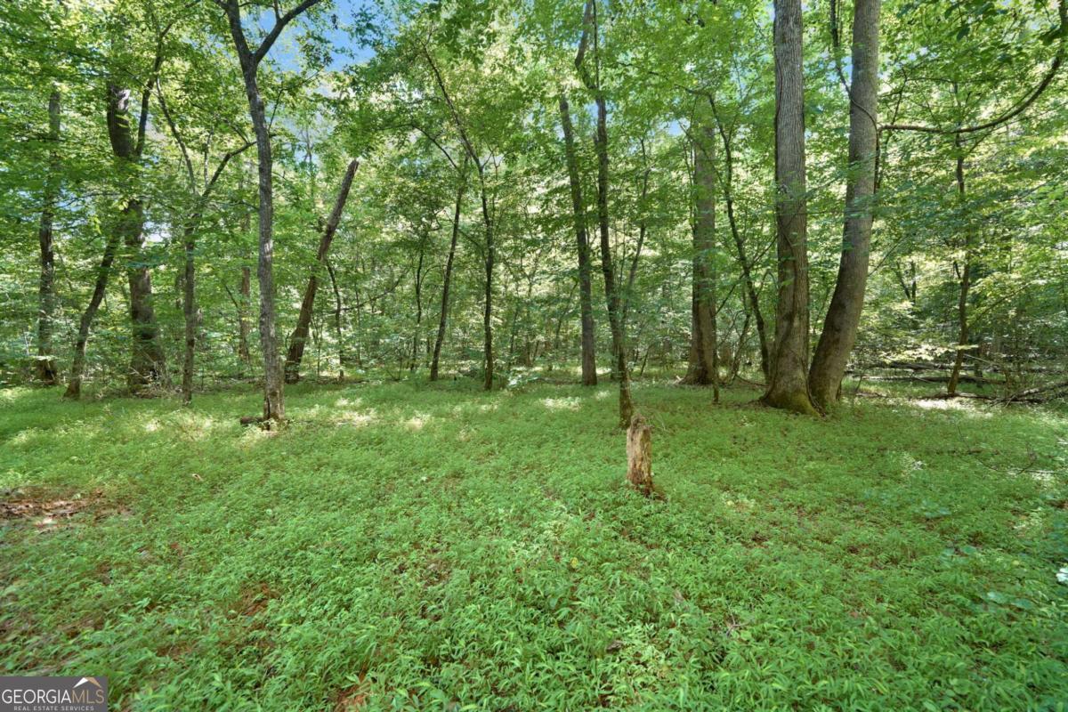 525 Etula Drive Property Photo 13