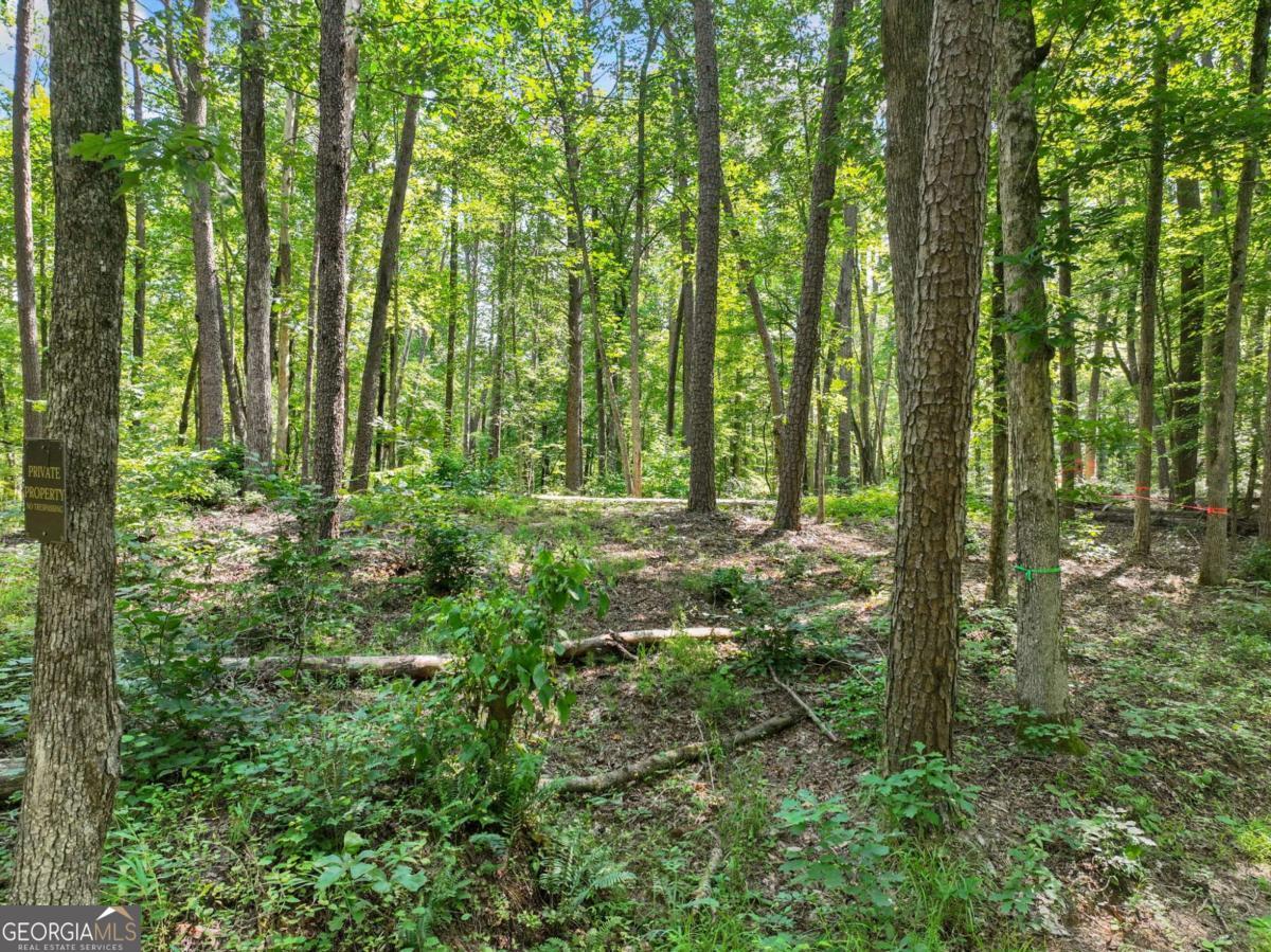 525 Etula Drive Property Photo 14