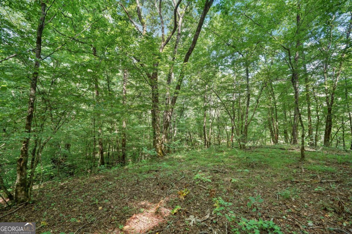 525 Etula Drive Property Photo 17