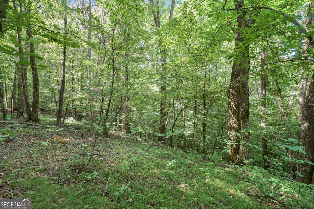 525 Etula Drive Property Photo 18