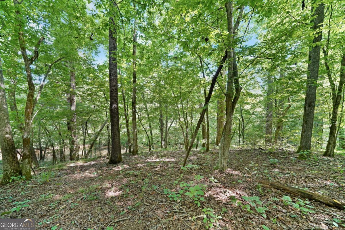 525 Etula Drive Property Photo 20