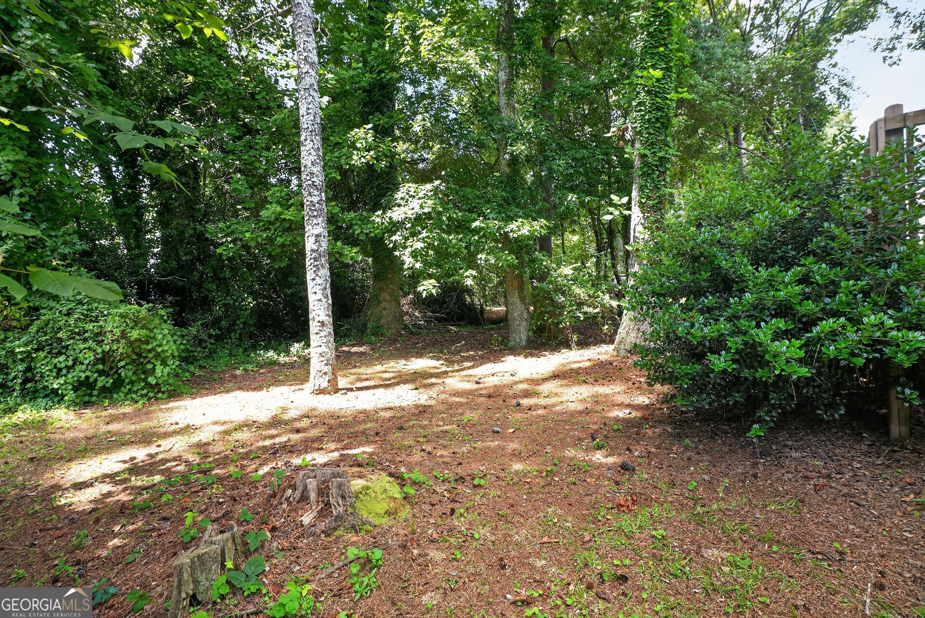 2045 Marbut Forest Drive Property Photo 7