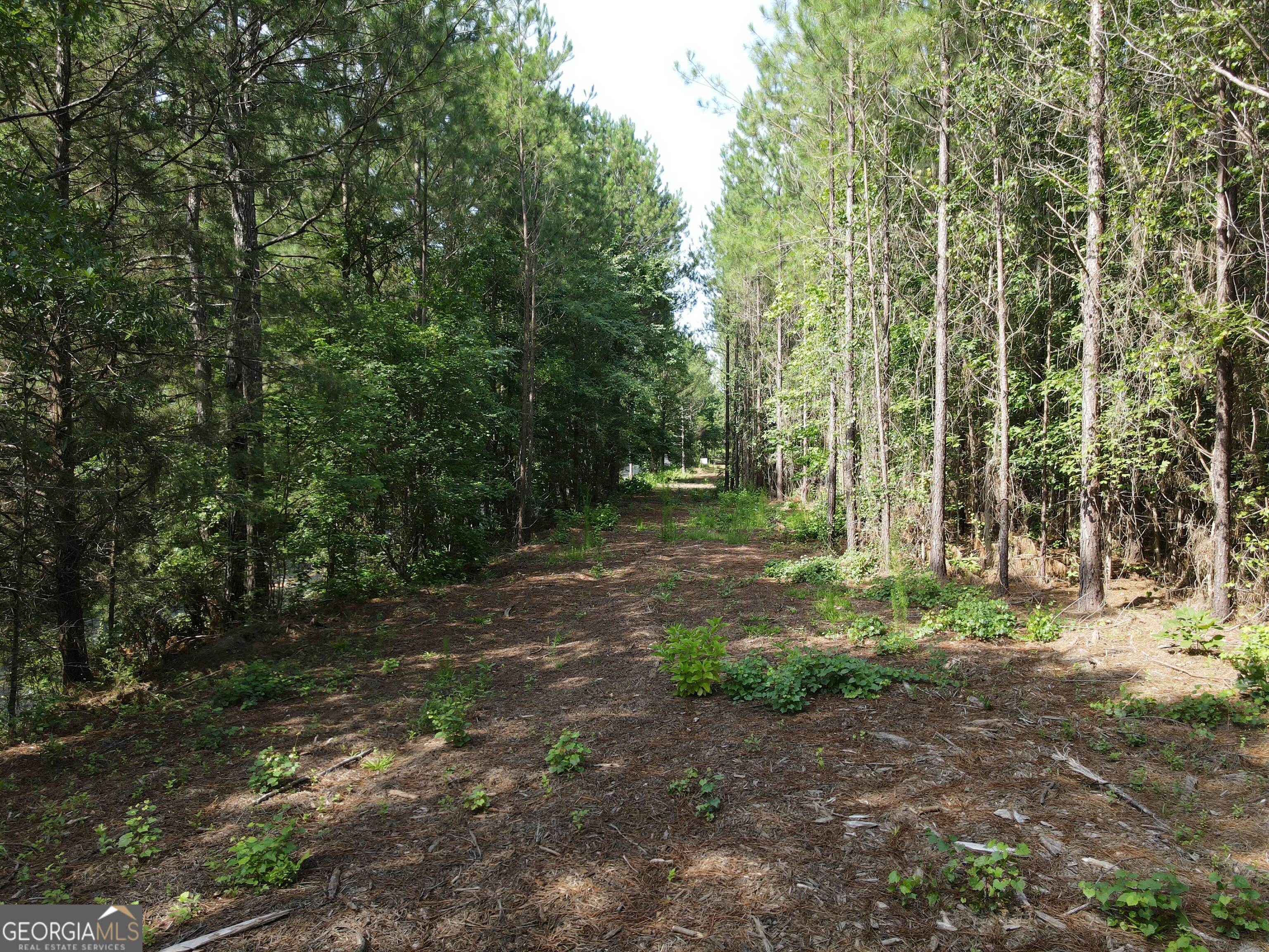 0 Lower Harmony Road Lot 2 Property Photo 11