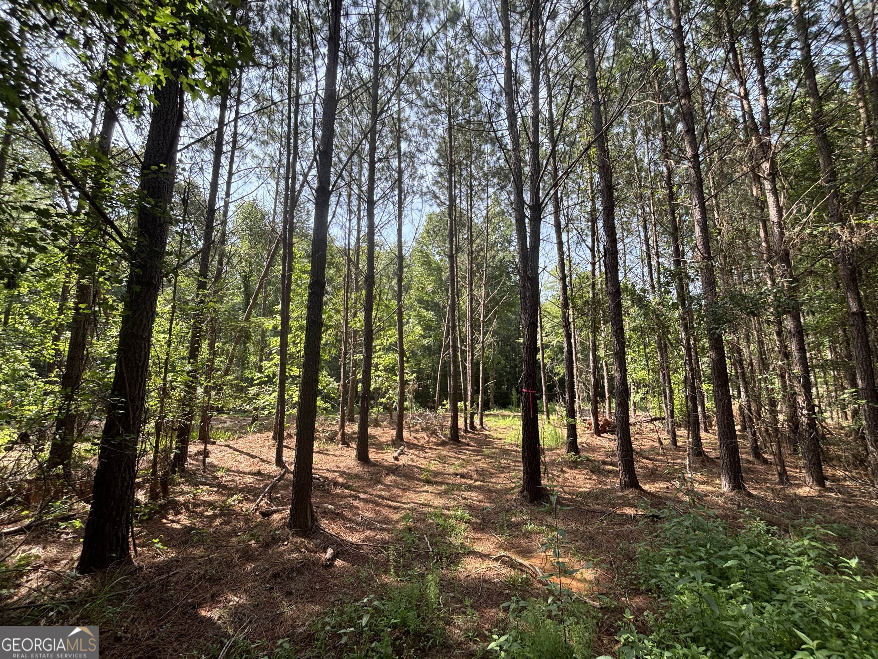 0 Lower Harmony Road Lot 2 Property Photo 14