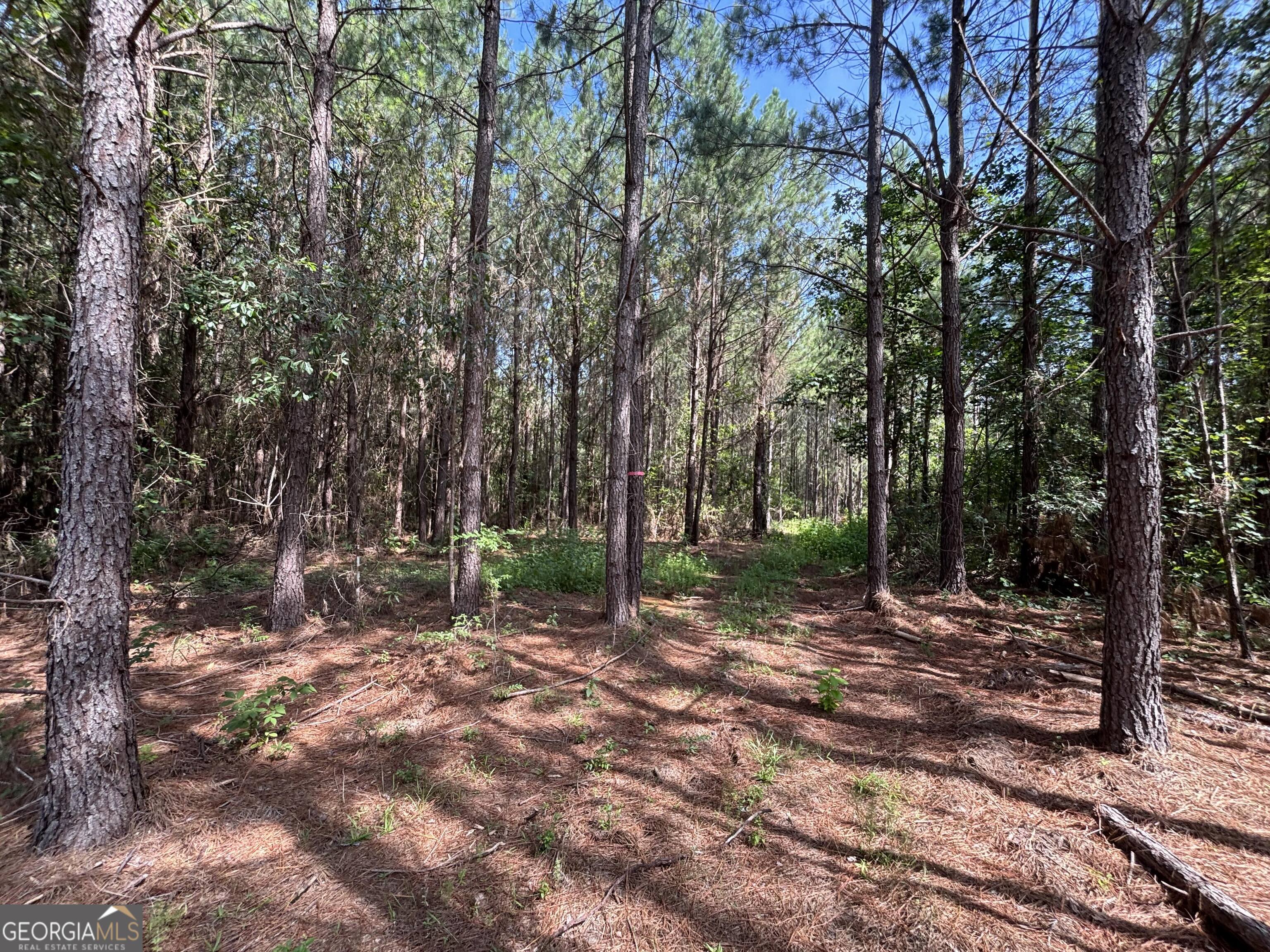 0 Lower Harmony Road Lot 2 Property Photo 15