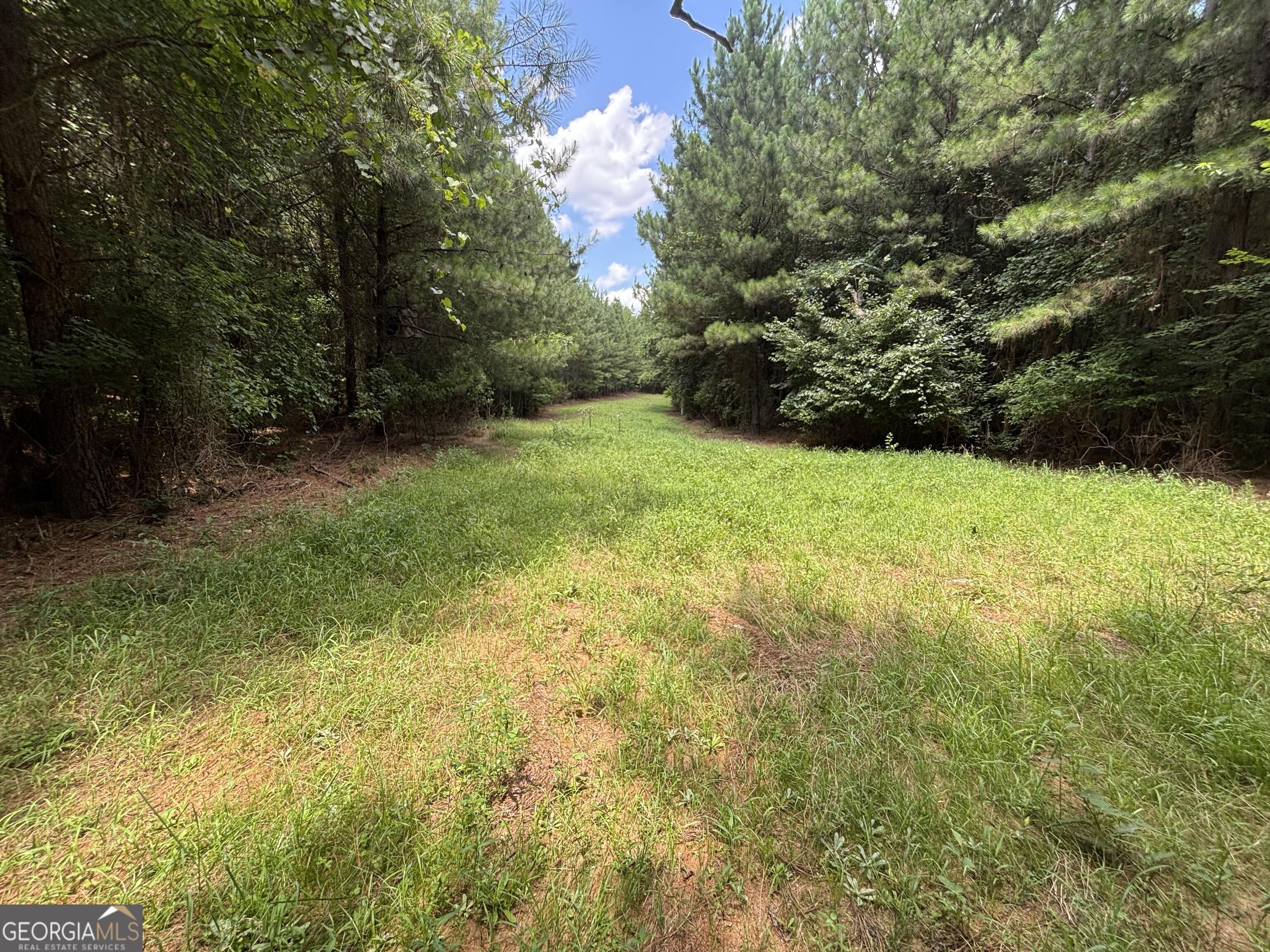 0 Lower Harmony Road Lot 2 Property Photo 16