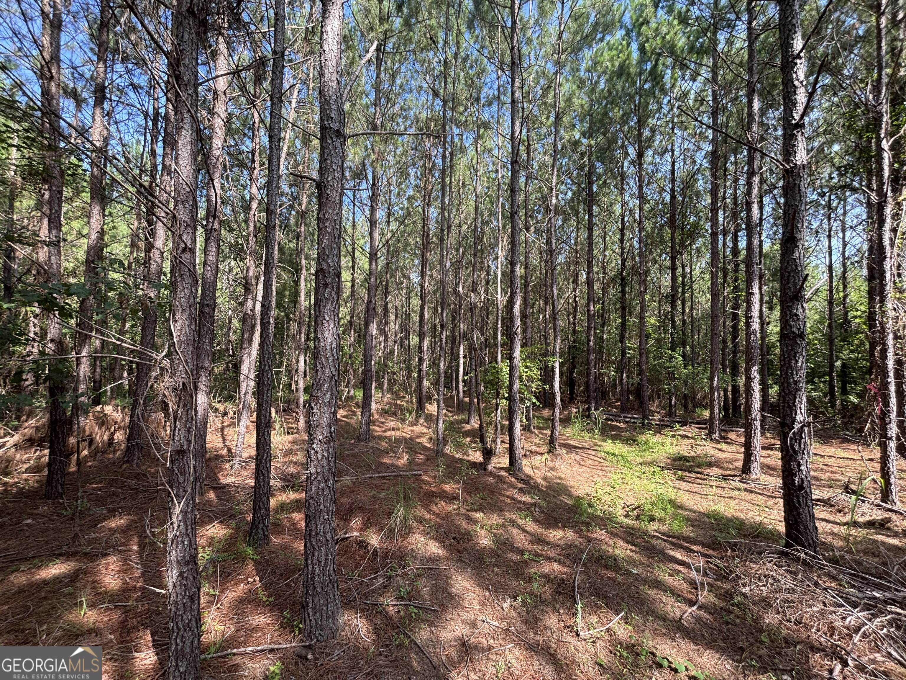 0 Lower Harmony Road Lot 2 Property Photo 18