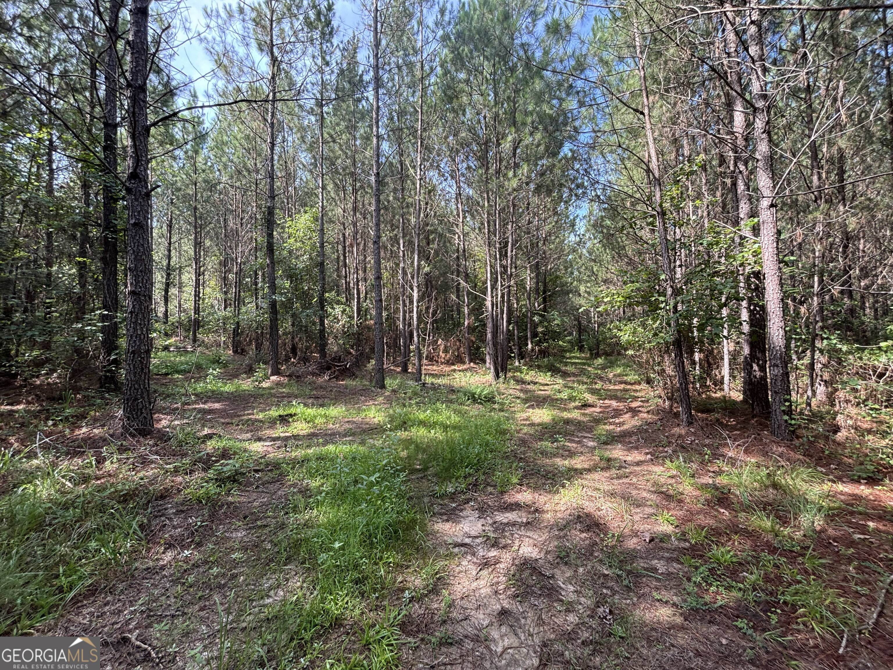 0 Lower Harmony Road Lot 2 Property Photo 19