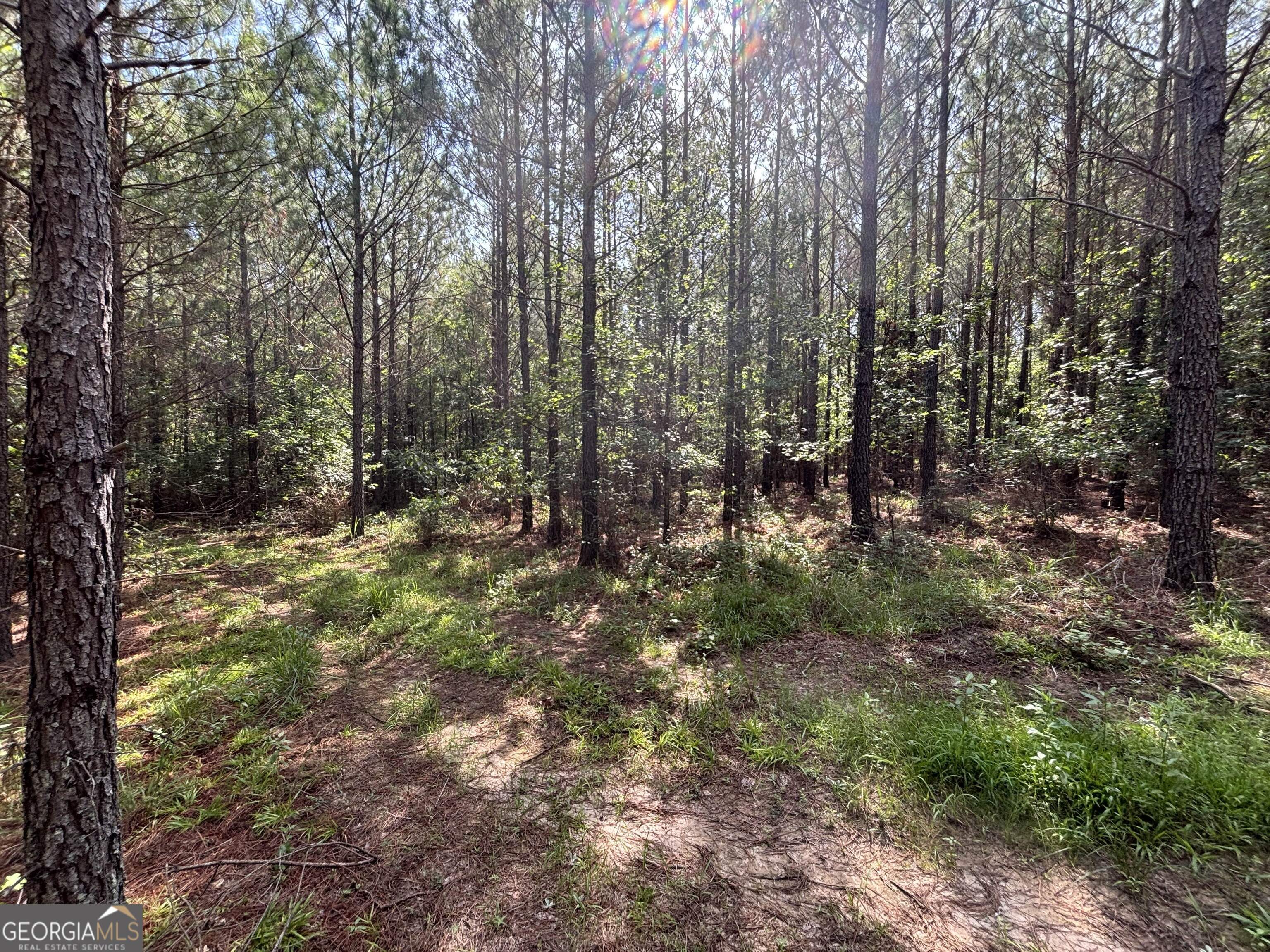 0 Lower Harmony Road Lot 2 Property Photo 20