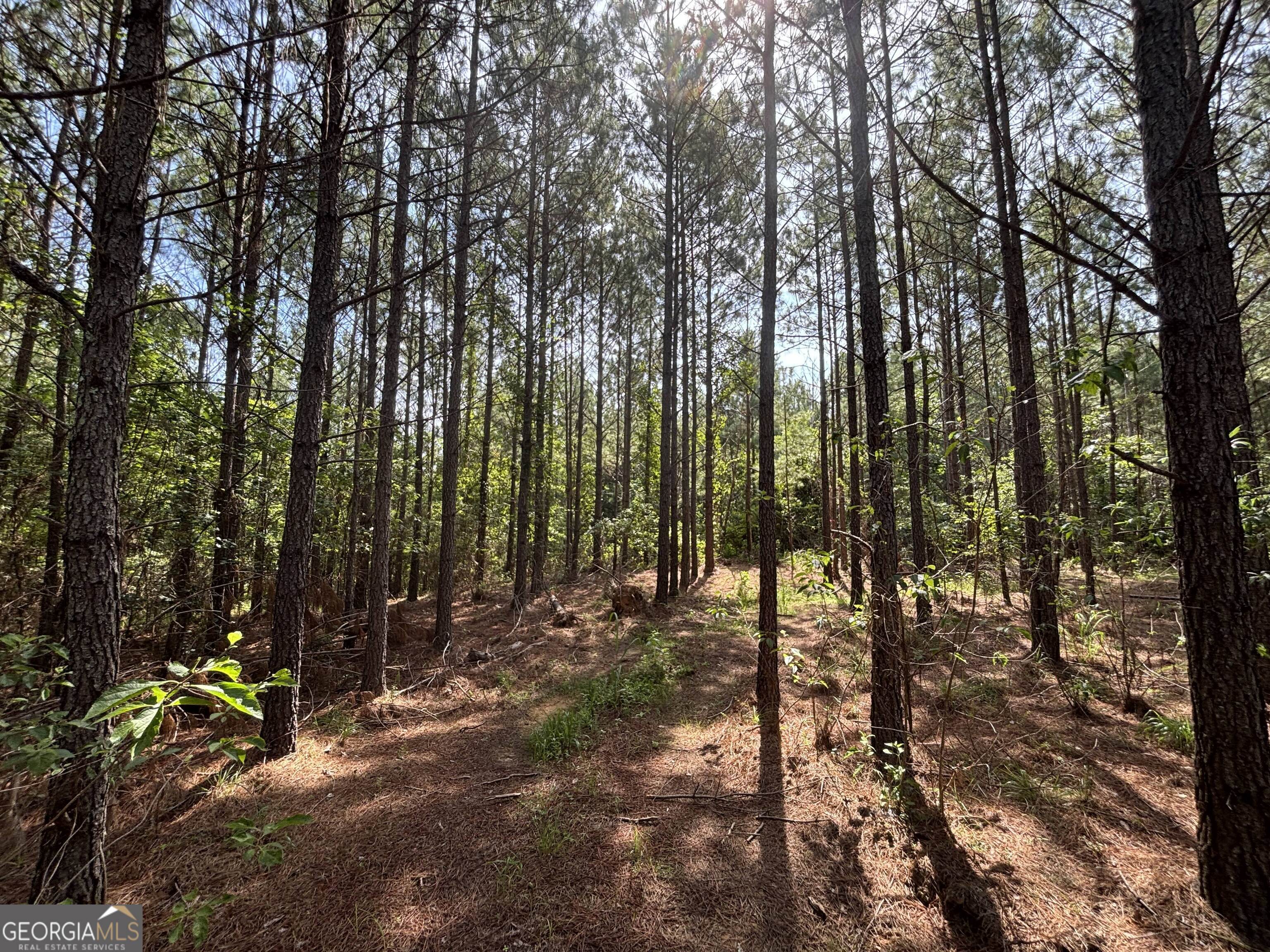 0 Lower Harmony Road Lot 2 Property Photo 21