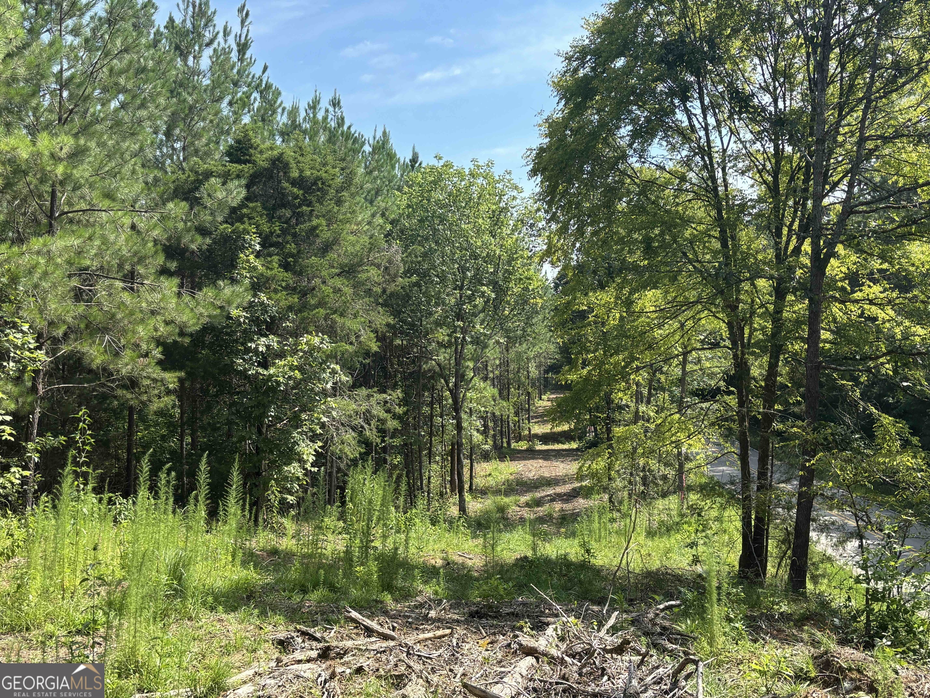 0 Lower Harmony Road Lot 2 Property Photo 22