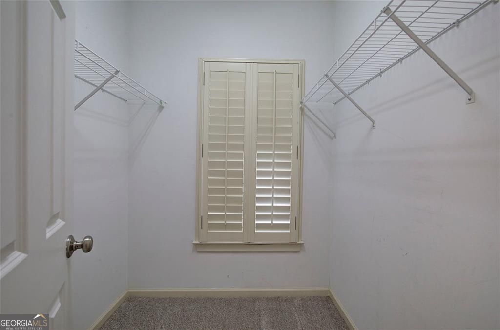 5205 Waters Edge Trail Property Photo 32