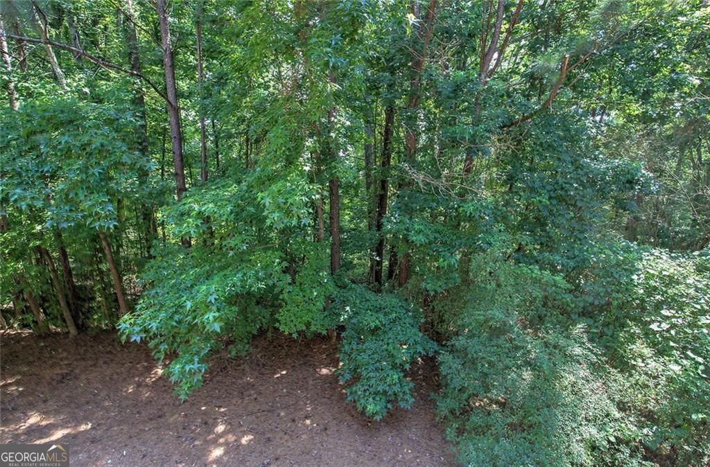 5205 Waters Edge Trail Property Photo 52