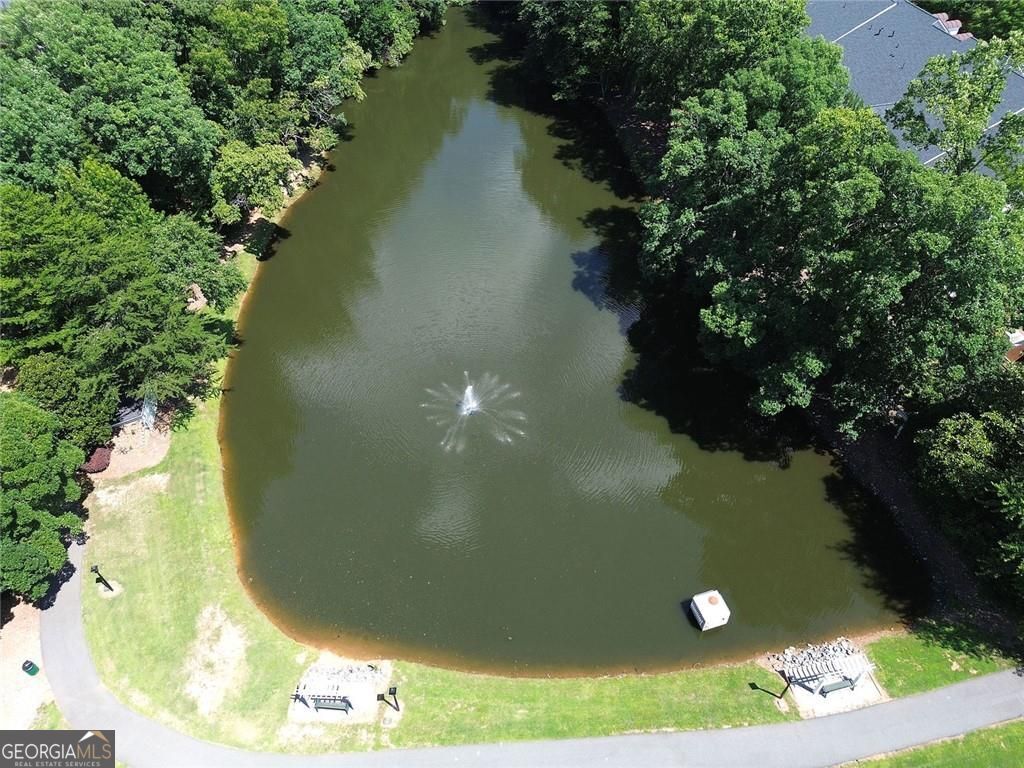 5205 Waters Edge Trail Property Photo 60