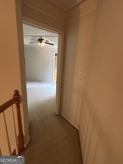 125 Centennial Drive Property Photo 21