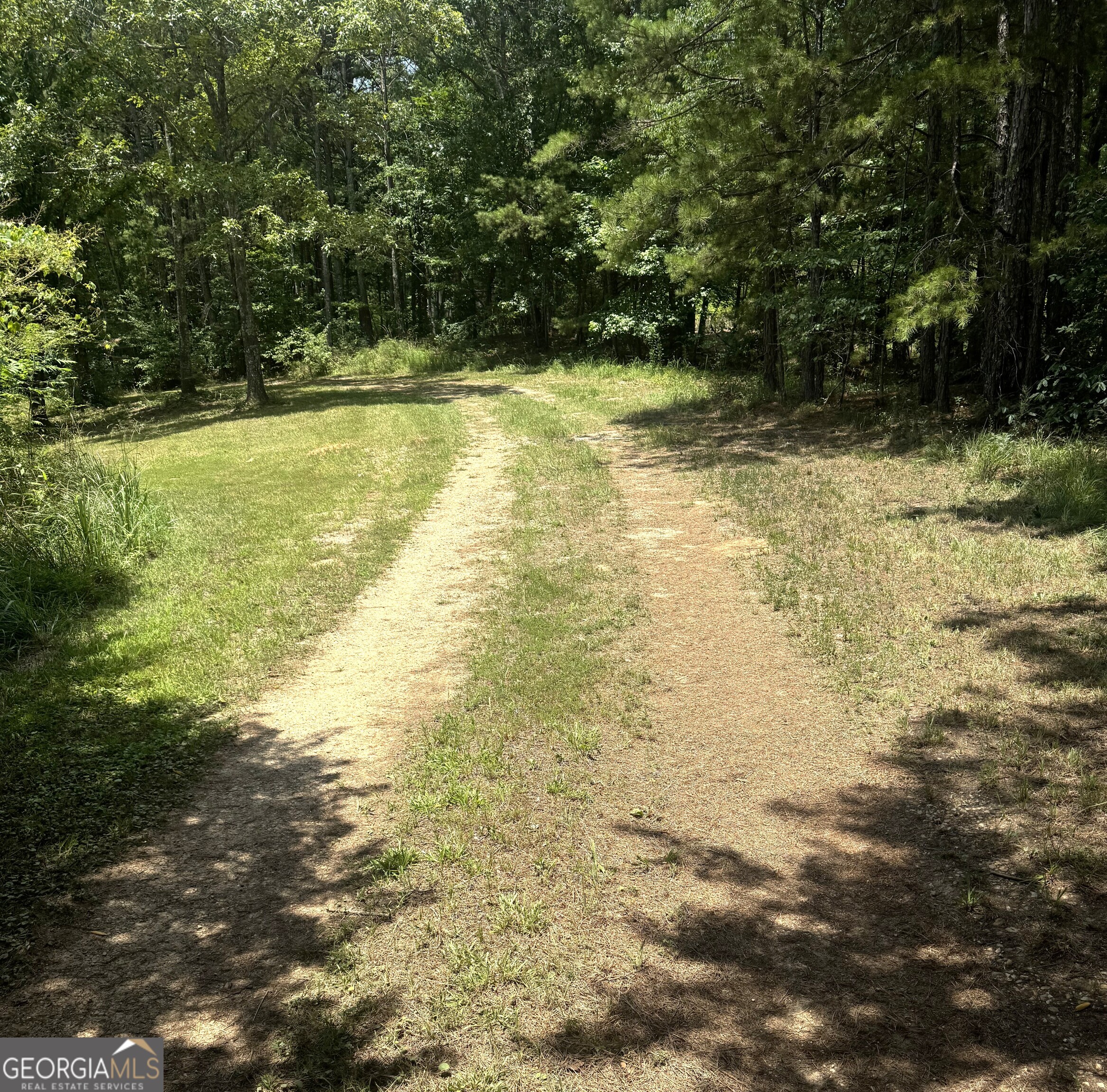 0 Co Rd 61 Property Photo 2