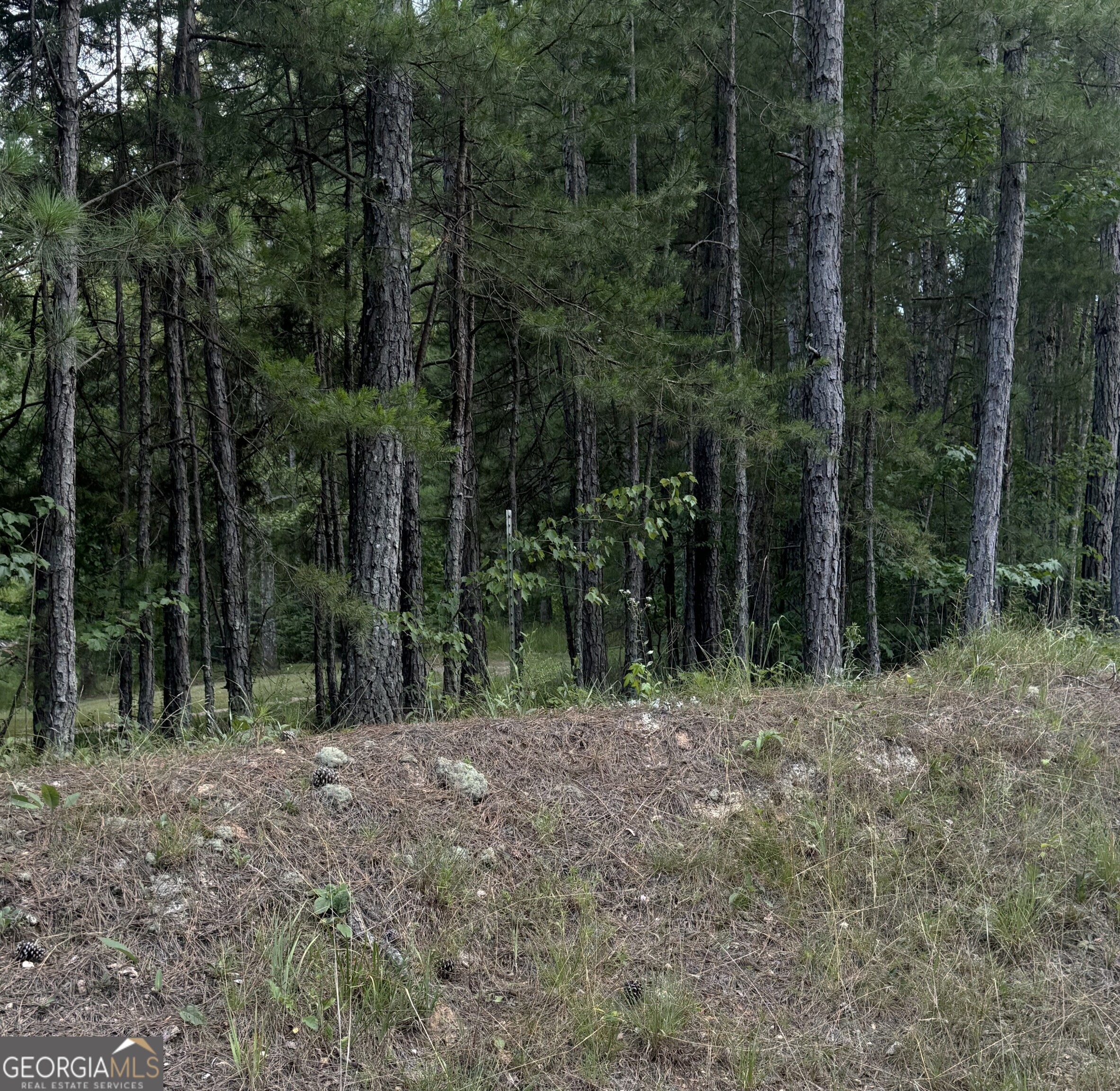 0 Co Rd 61 Property Photo 3