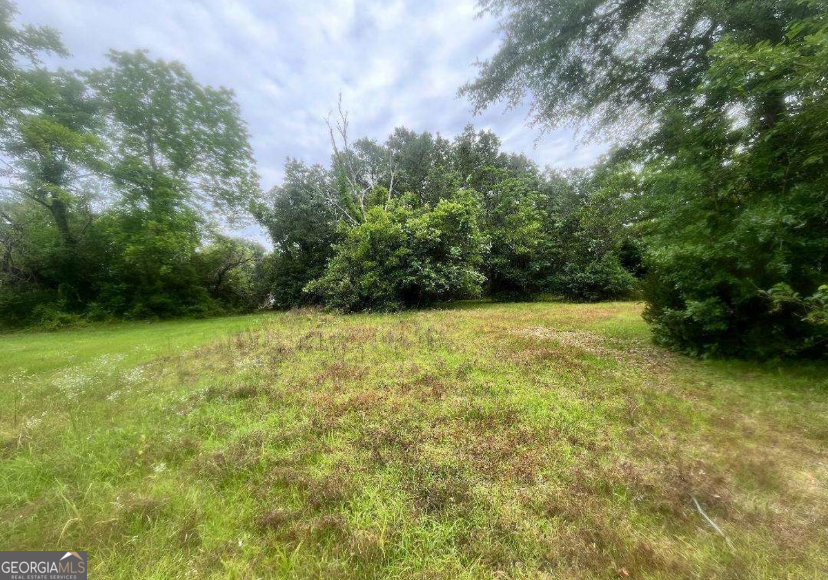 1318 E Roosevelt Avenue Property Photo 1