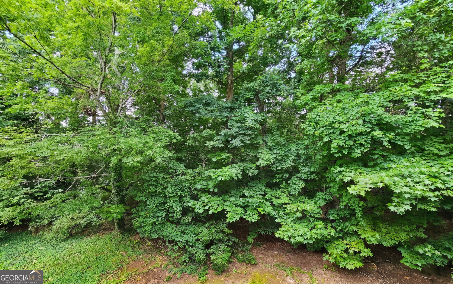1503 Waters Edge Trail Property Photo 44