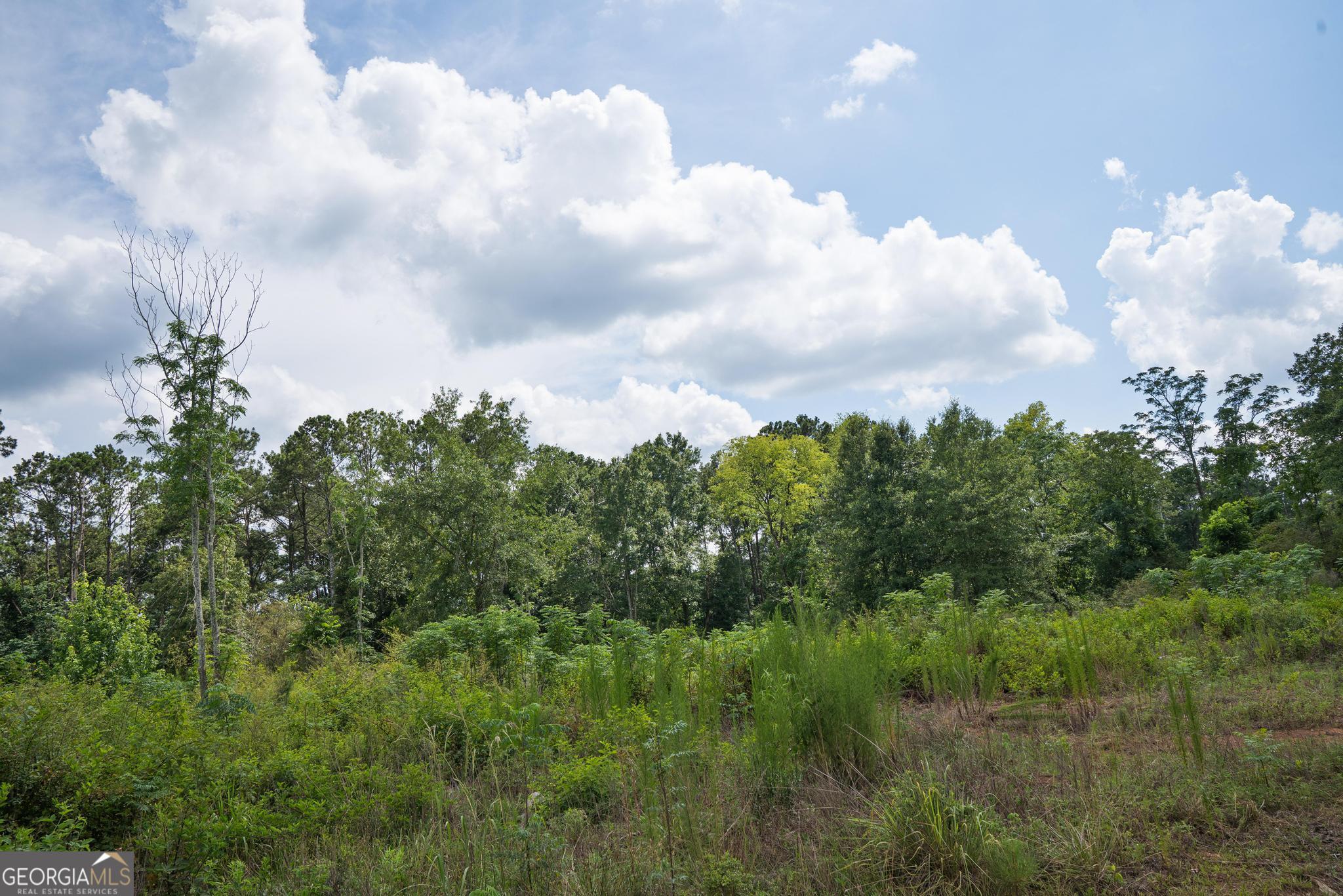 52 Askin Place Property Photo 2
