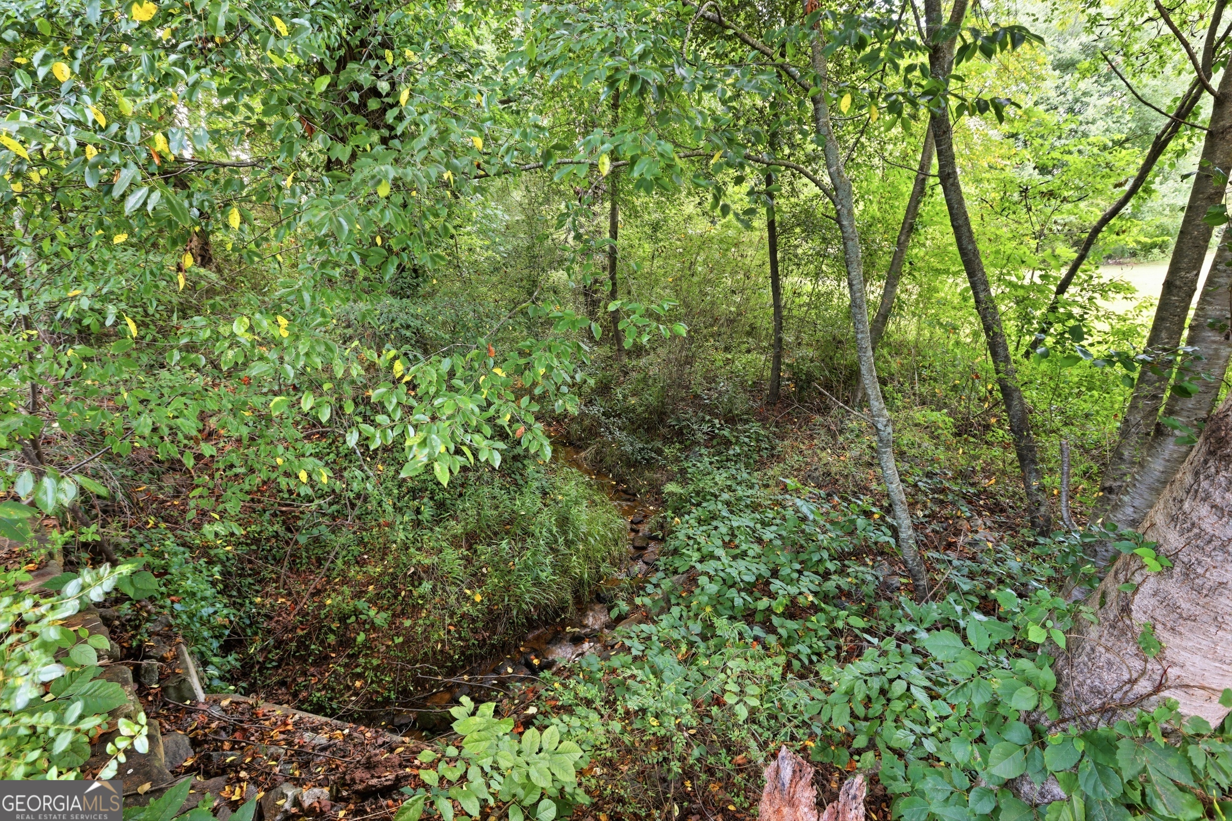 5911 Wauka Valley Pass Property Photo 12