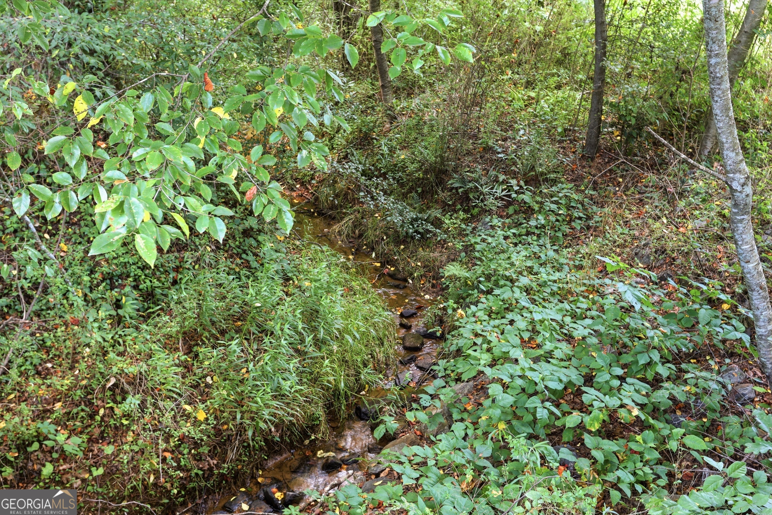 5911 Wauka Valley Pass Property Photo 13