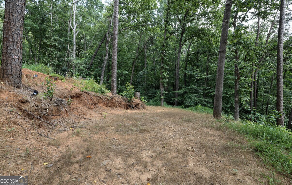 0 Cardinal Lane Property Photo 4