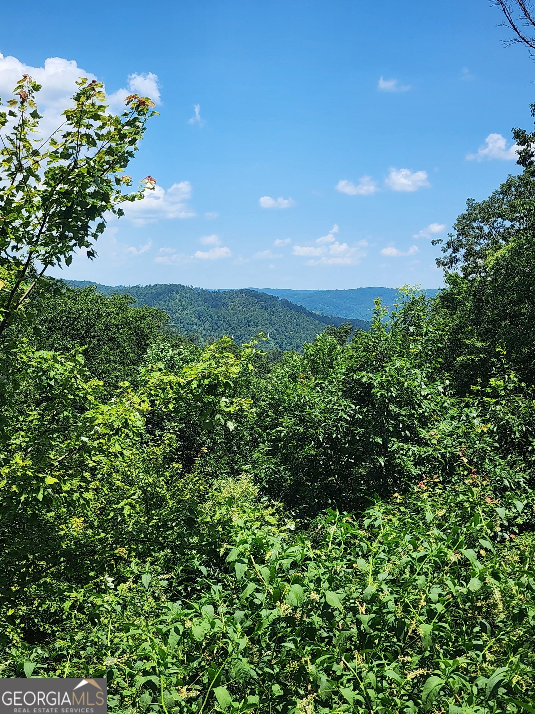 568 Yonah Lake Road Property Photo 8