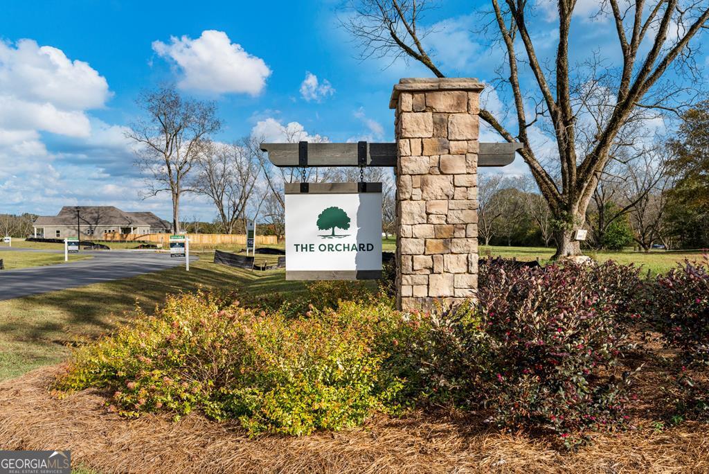 157 Chinaberry Street Property Photo 3
