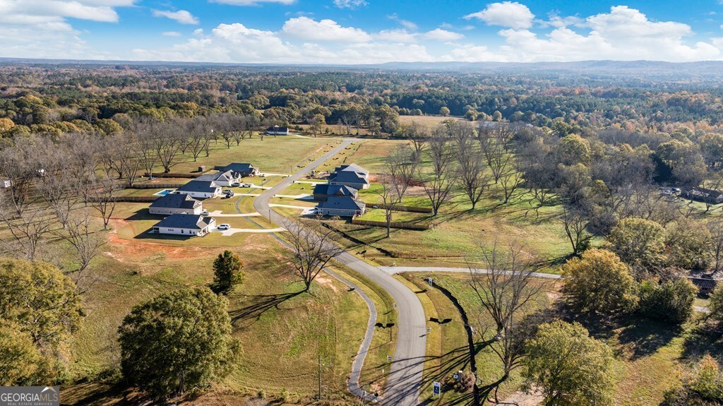 157 Chinaberry Street Property Photo 4