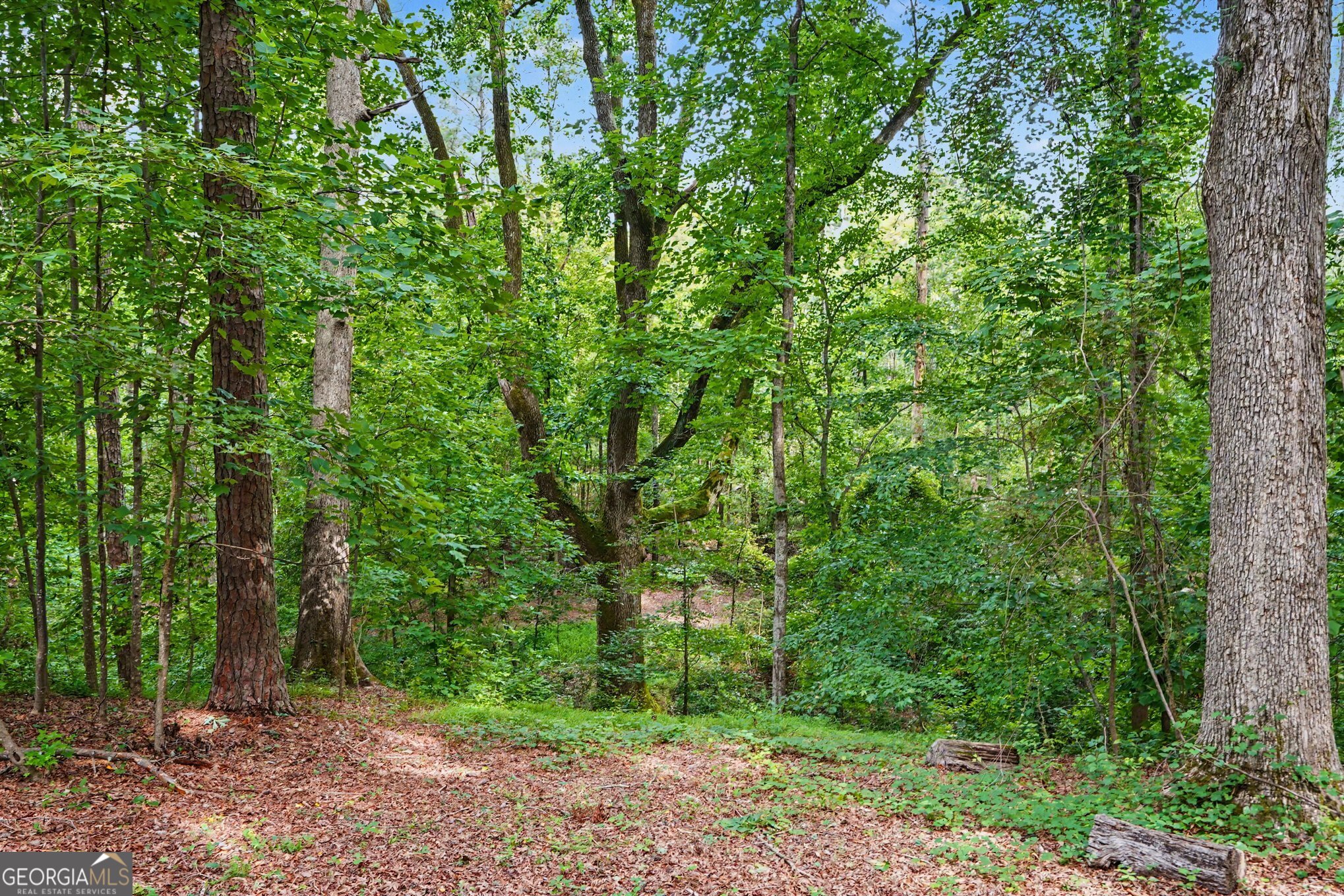 351 Teamon Road Property Photo 50