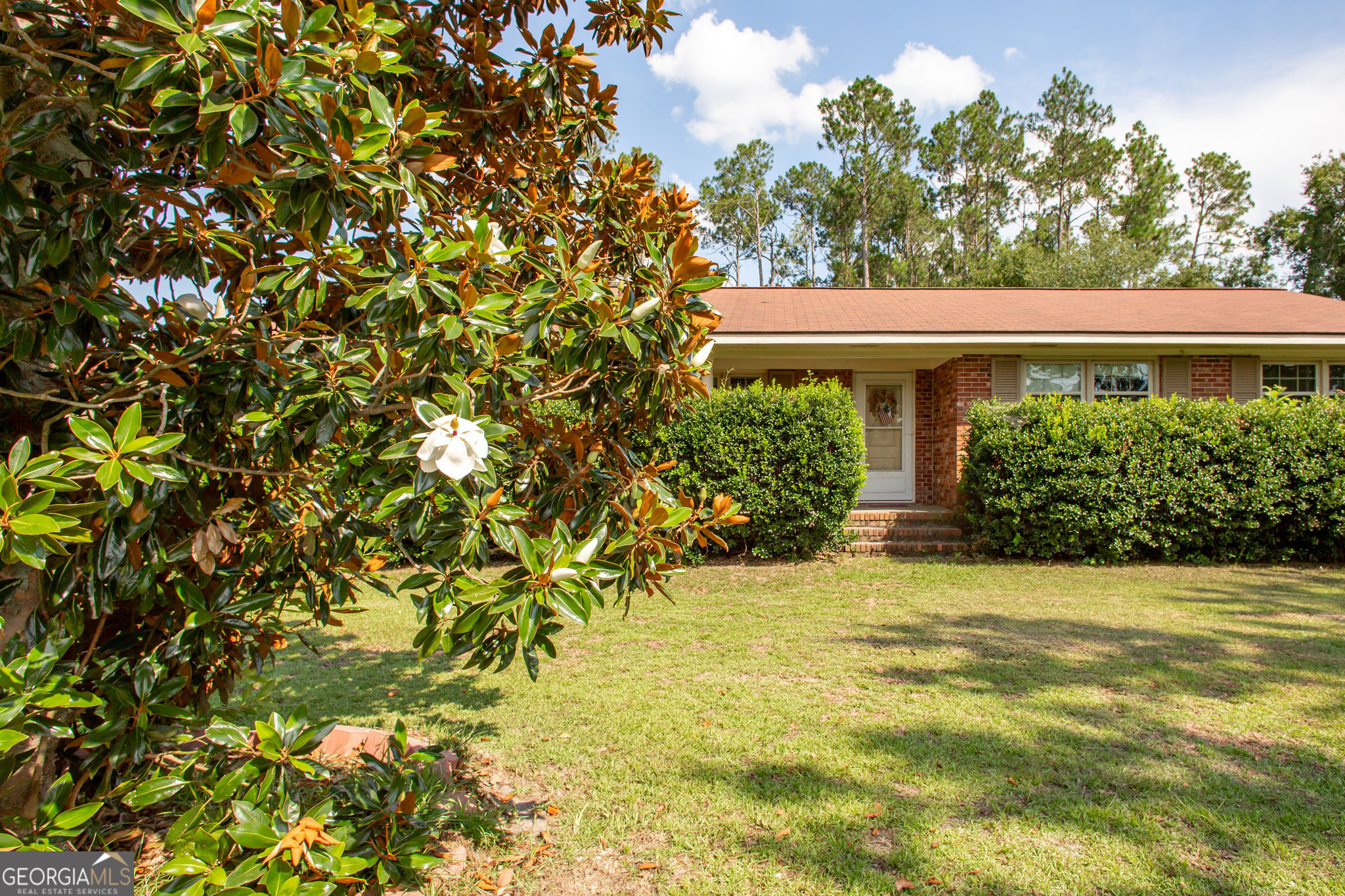 542 Ga Highway 64 Property Photo 2