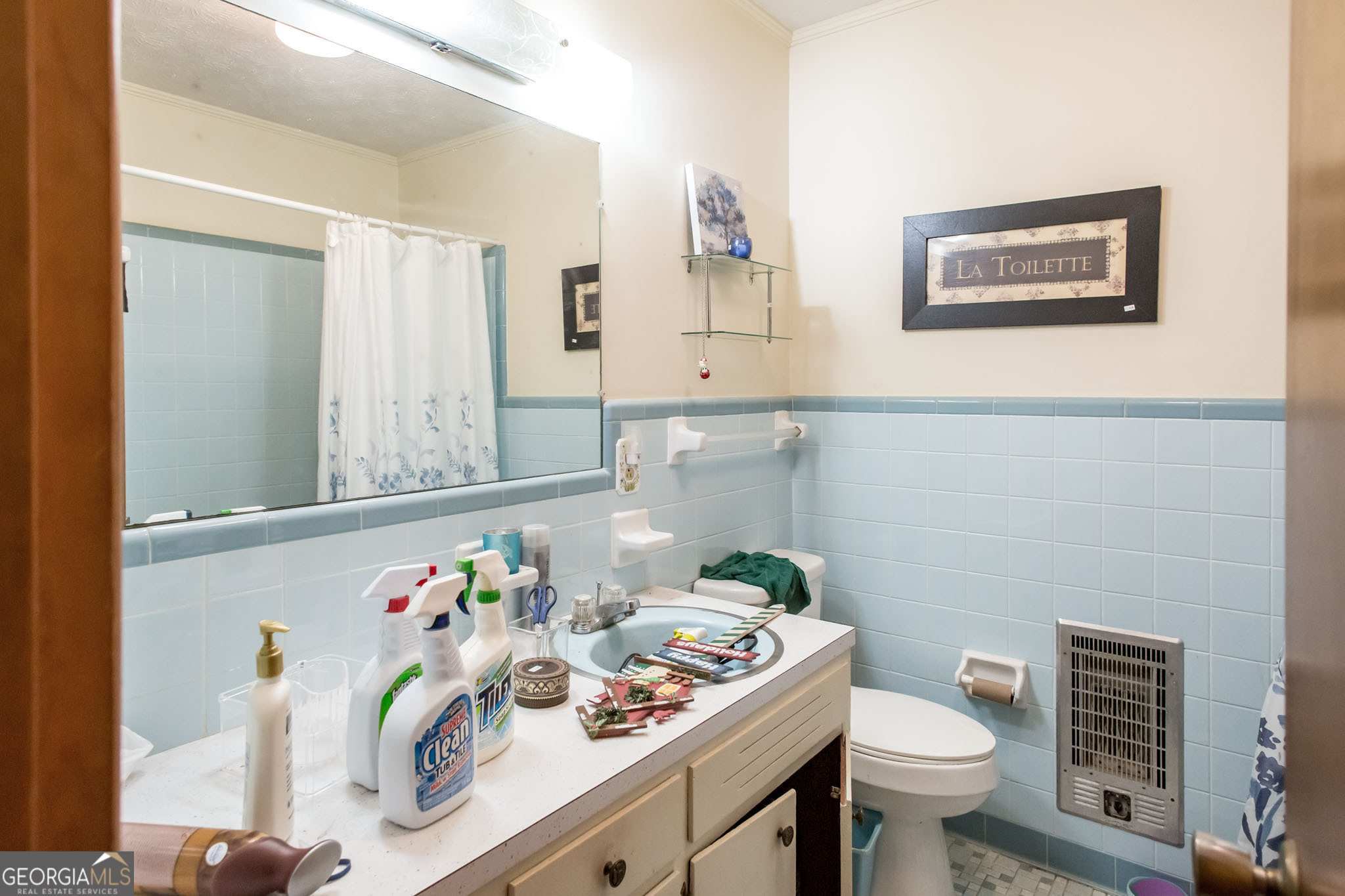 542 Ga Highway 64 Property Photo 21