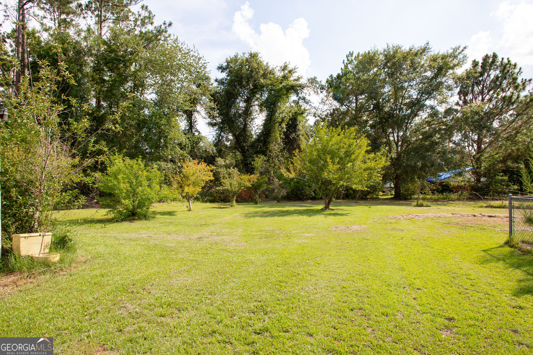 542 Ga Highway 64 Property Photo 43