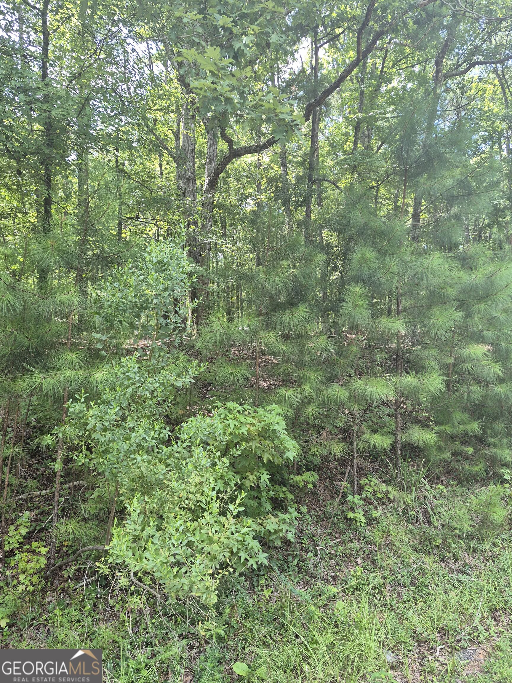 441 S Steel Bridge Road Property Photo 1