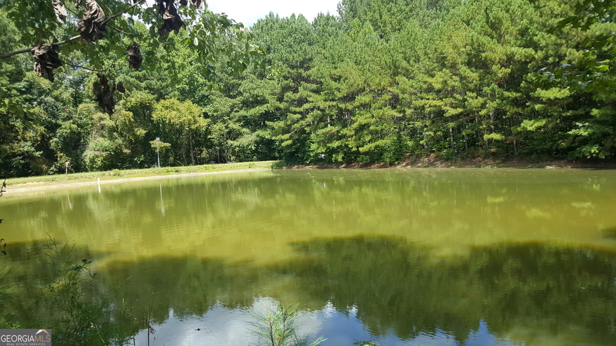 260 Lamar Smith Drive Property Photo 4