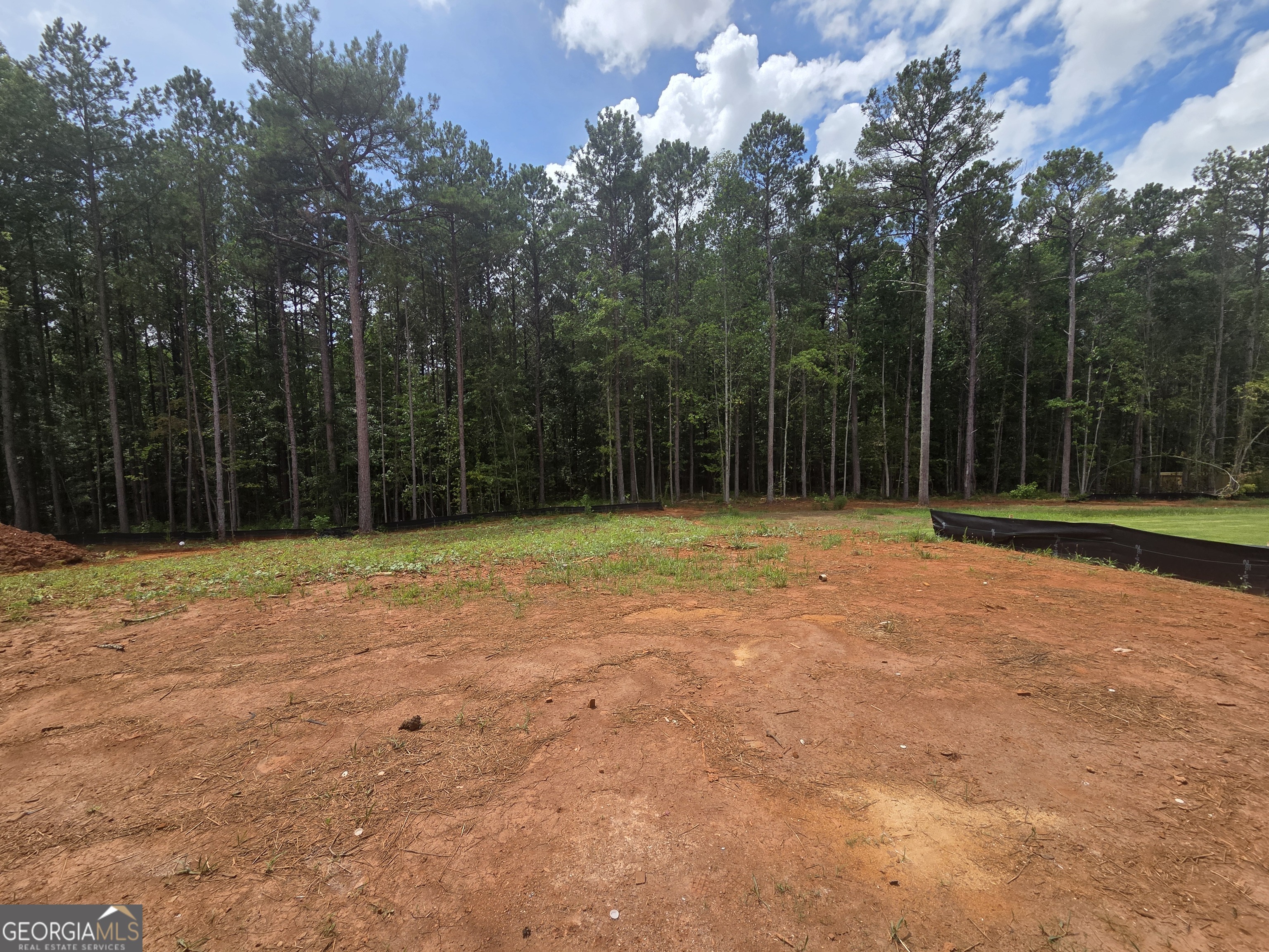 313 Meadows Drive Property Photo 20