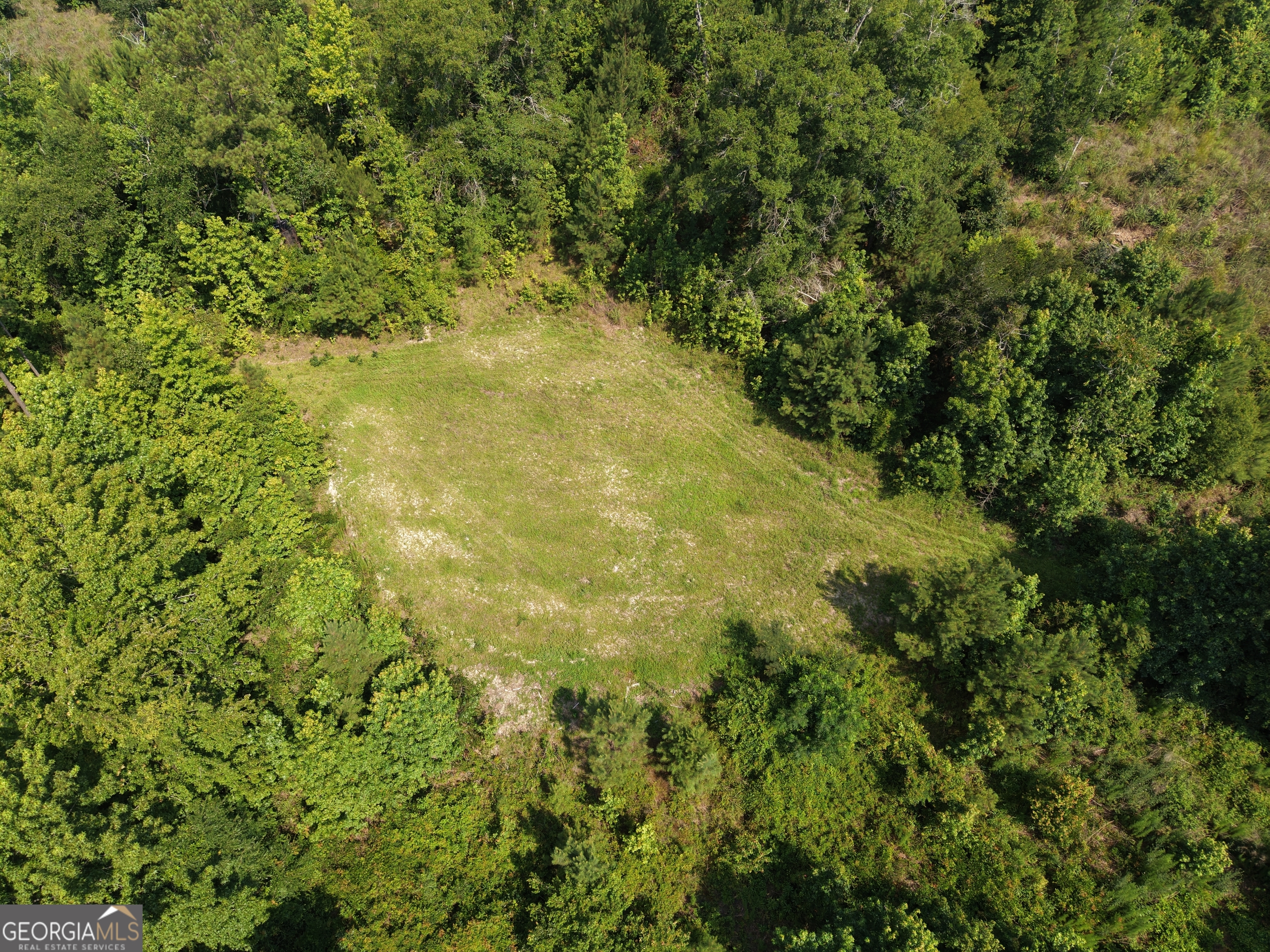 0 Highway 17 Property Photo 2