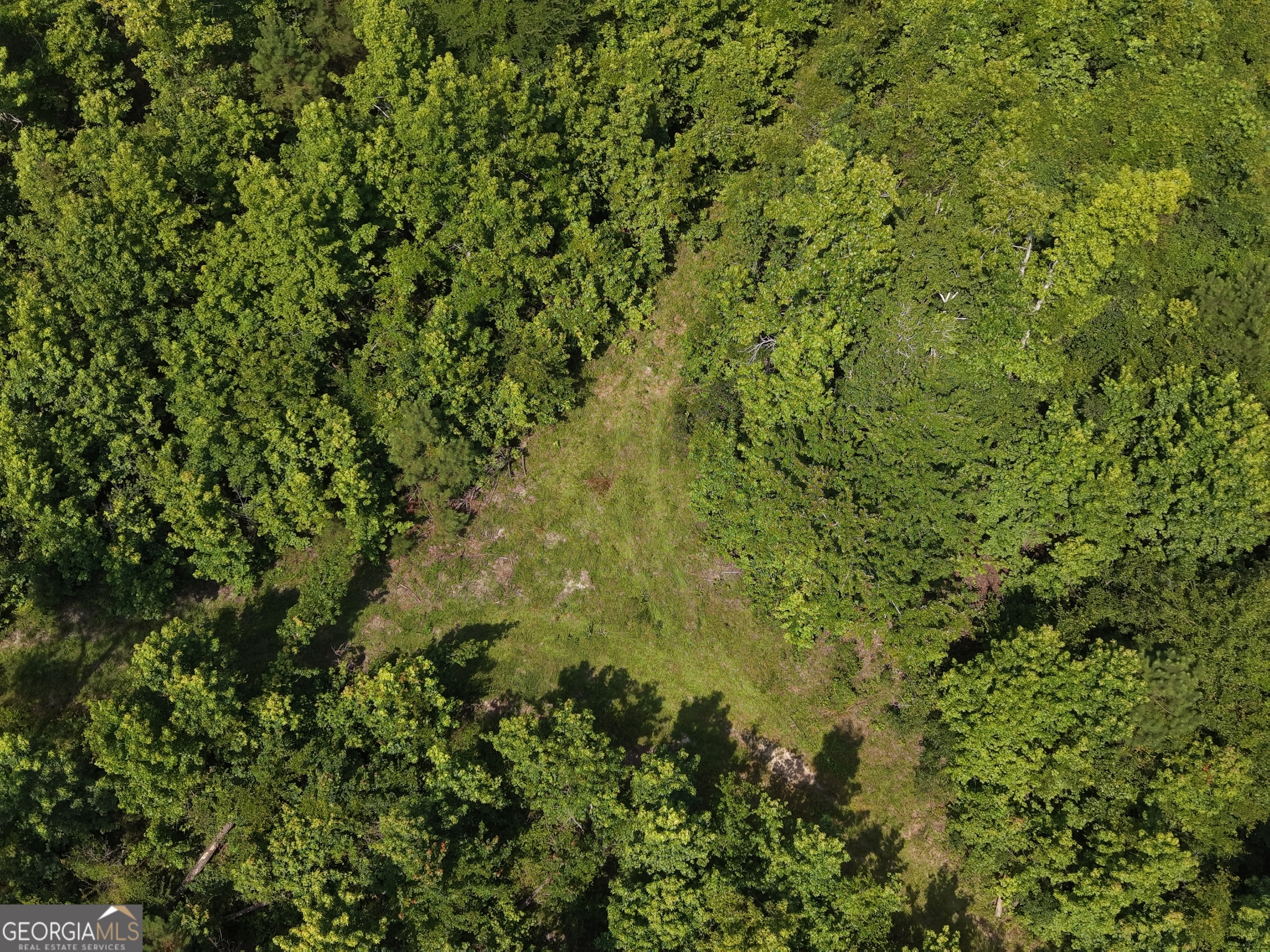 0 Highway 17 Property Photo 3