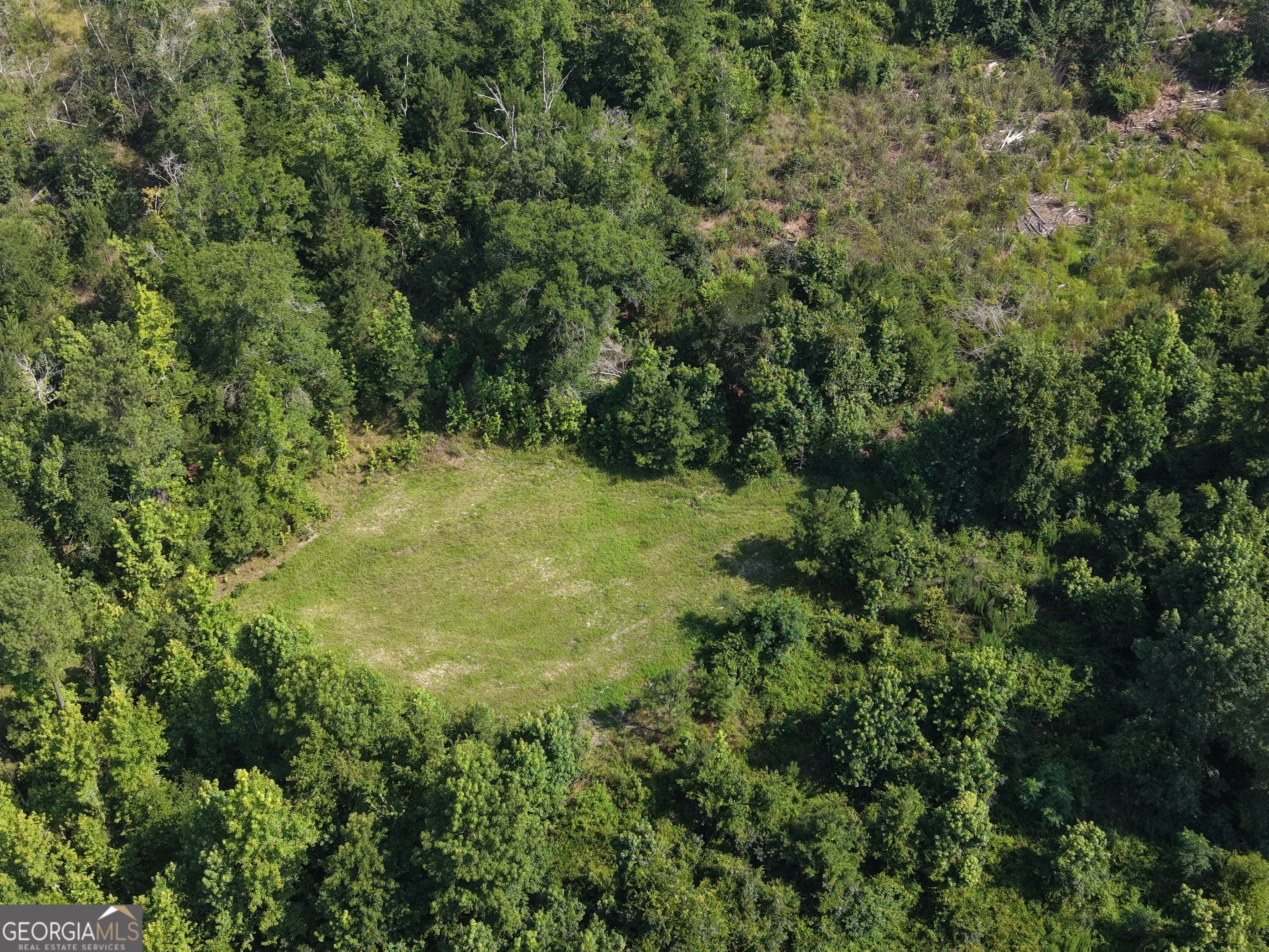 0 Highway 17 Property Photo 4