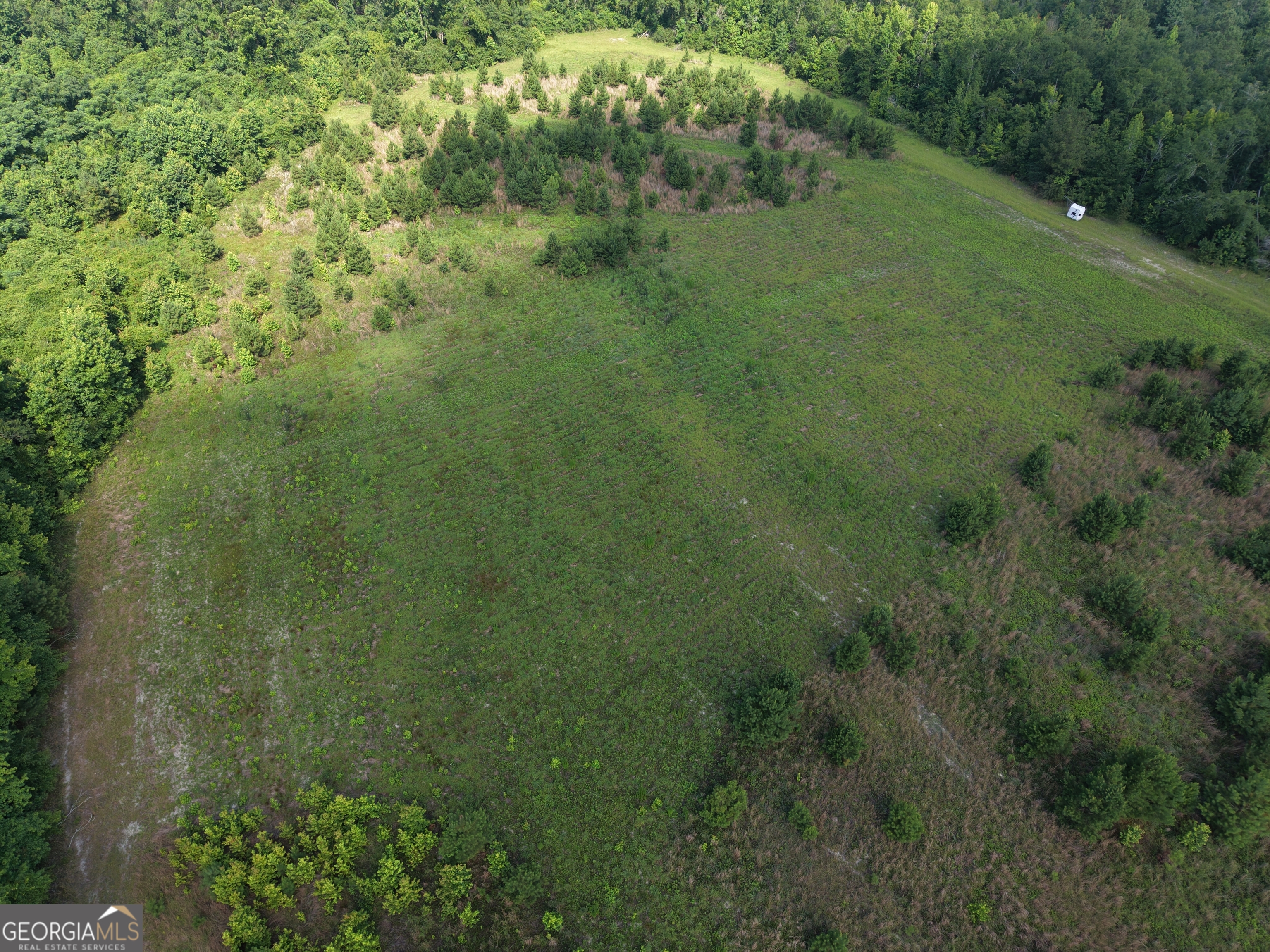 0 Highway 17 Property Photo 5