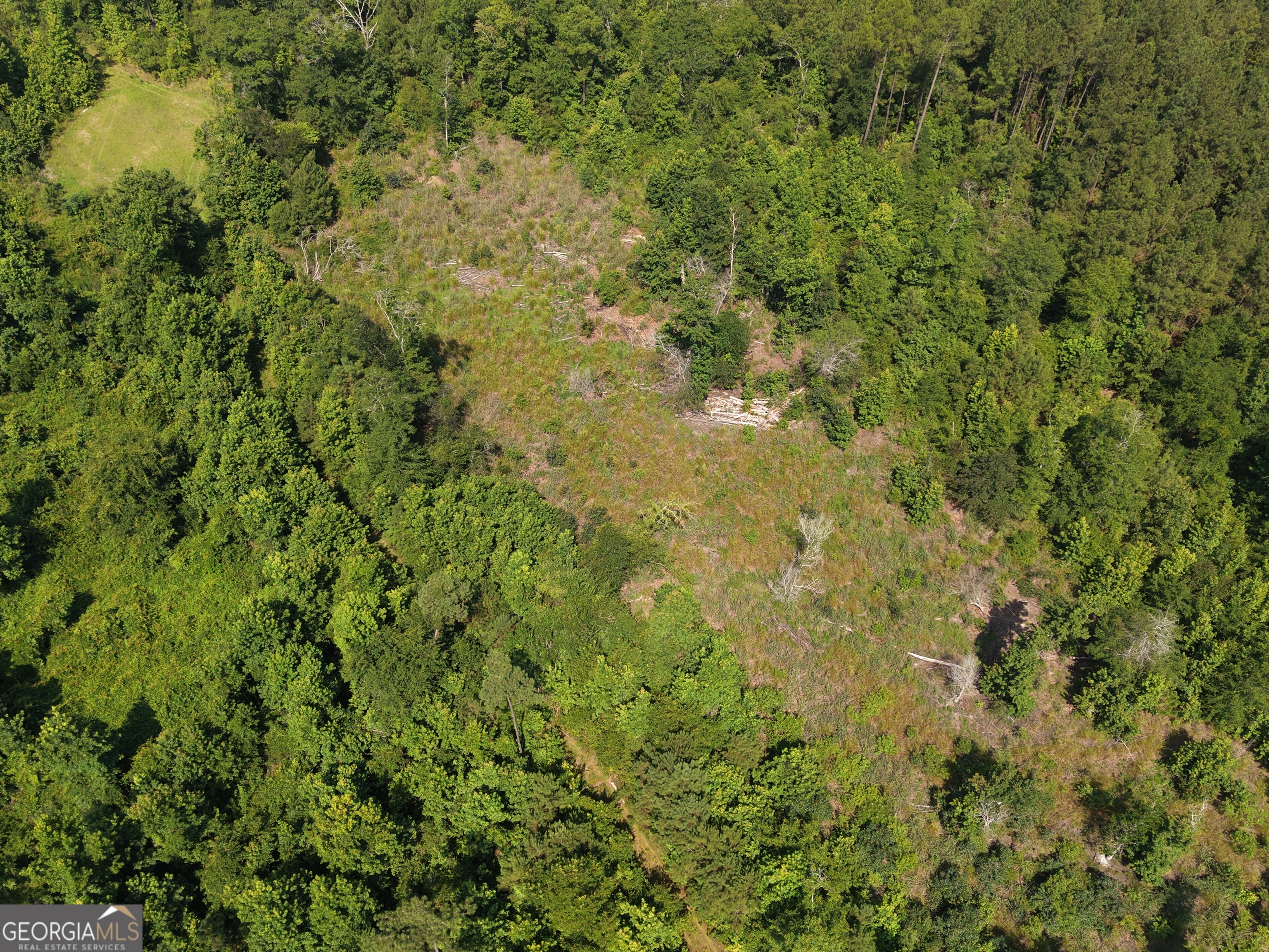 0 Highway 17 Property Photo 10