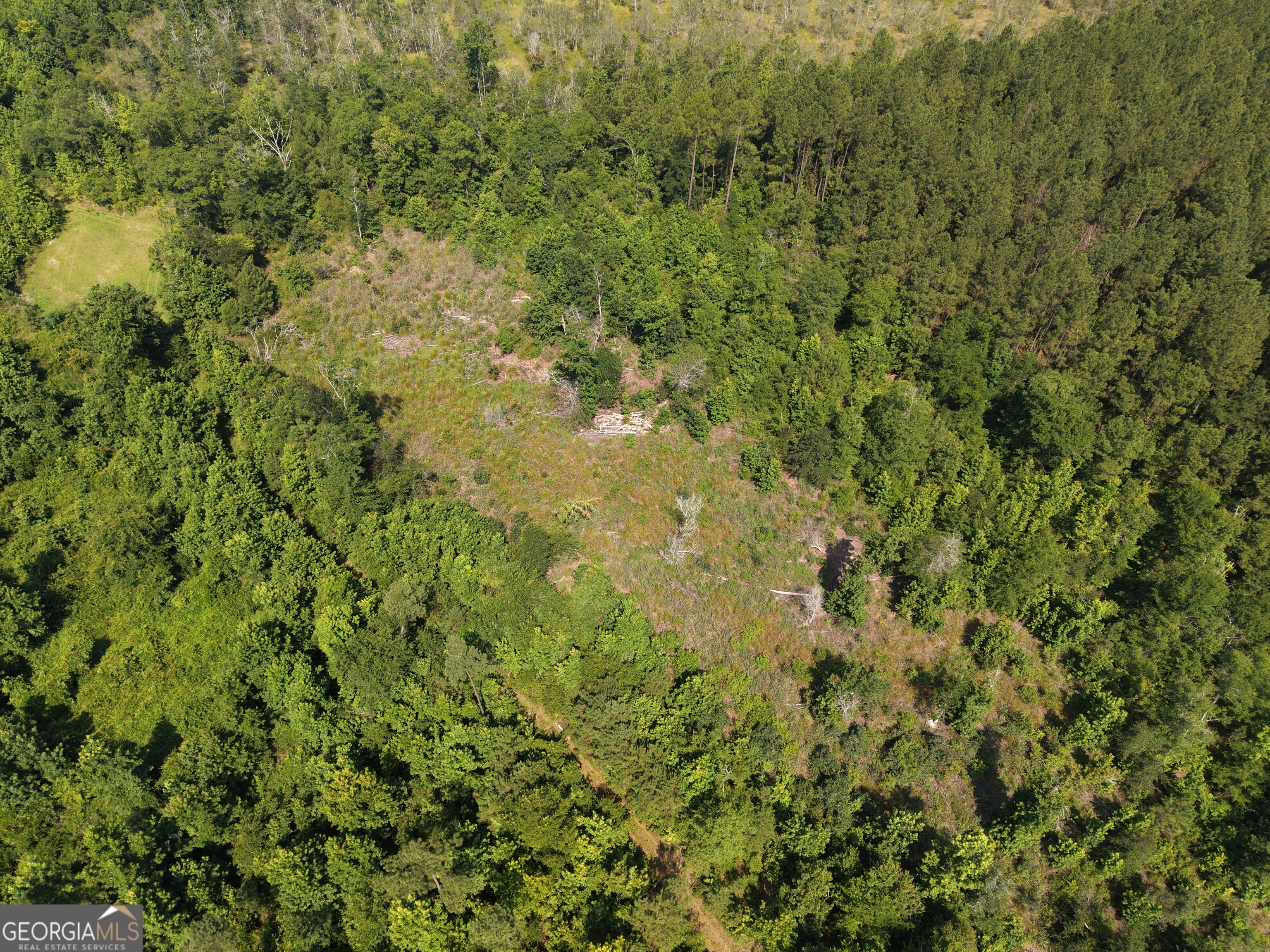 0 Highway 17 Property Photo 11