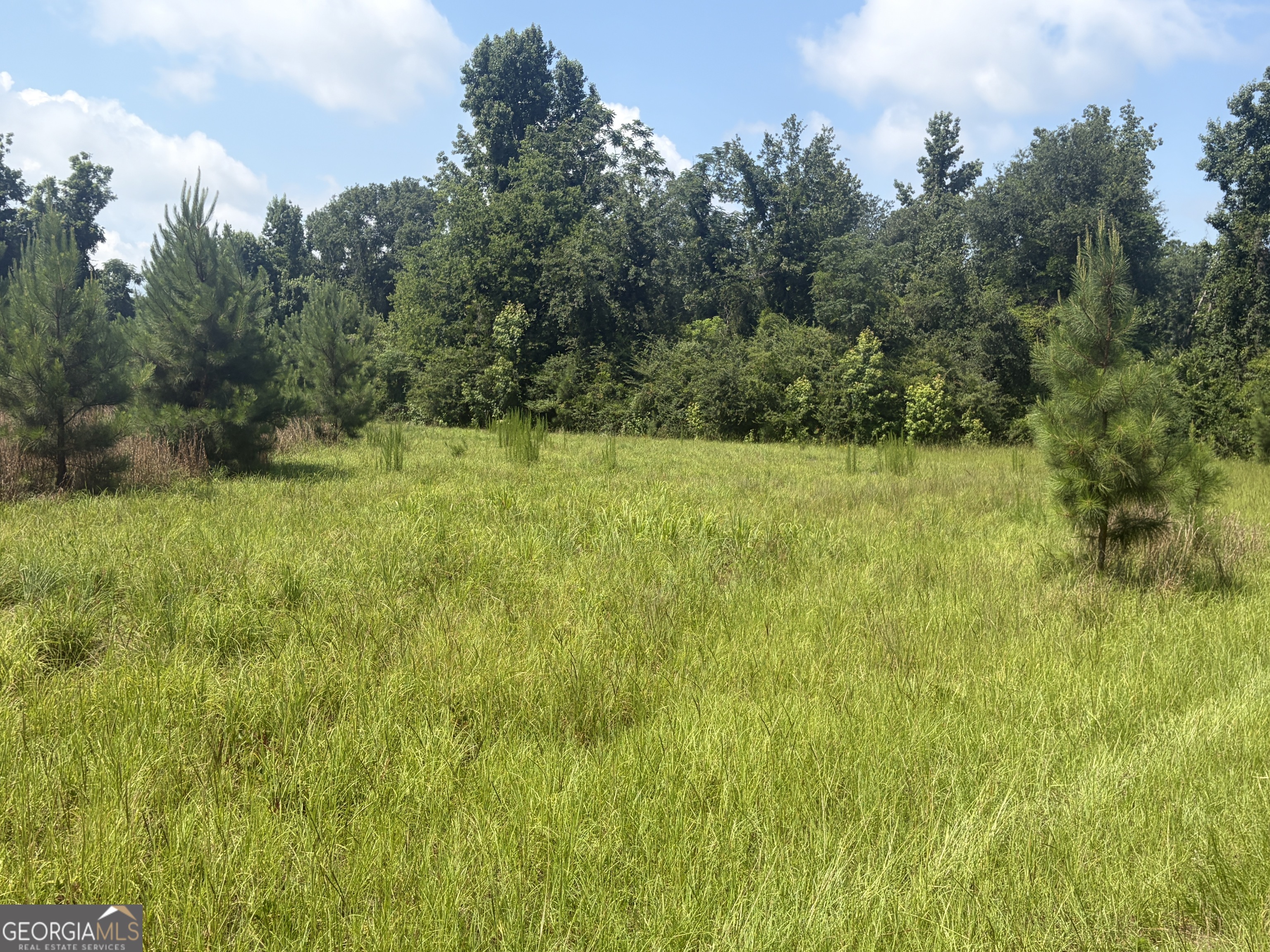 0 Highway 17 Property Photo 15