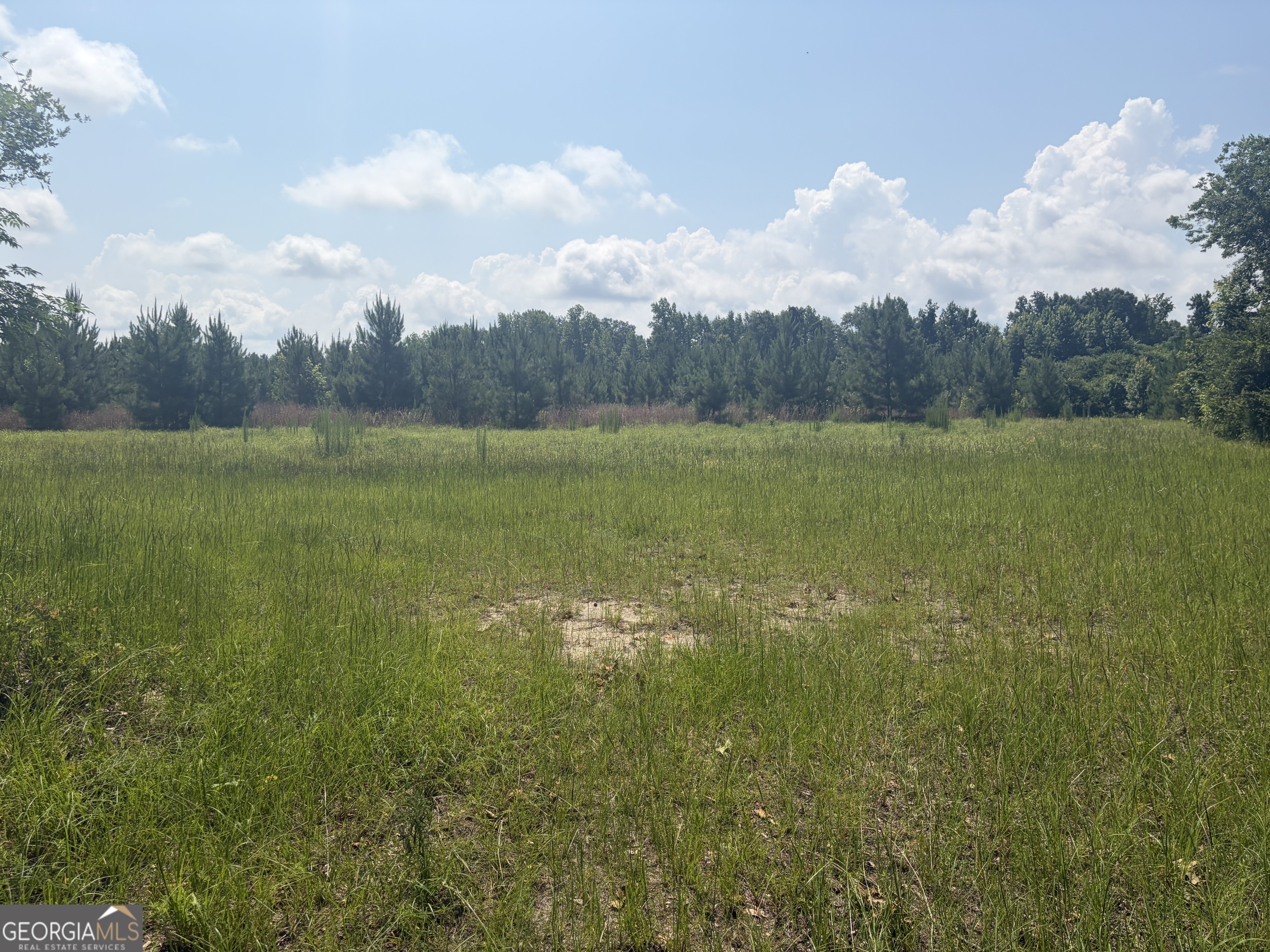 0 Highway 17 Property Photo 16