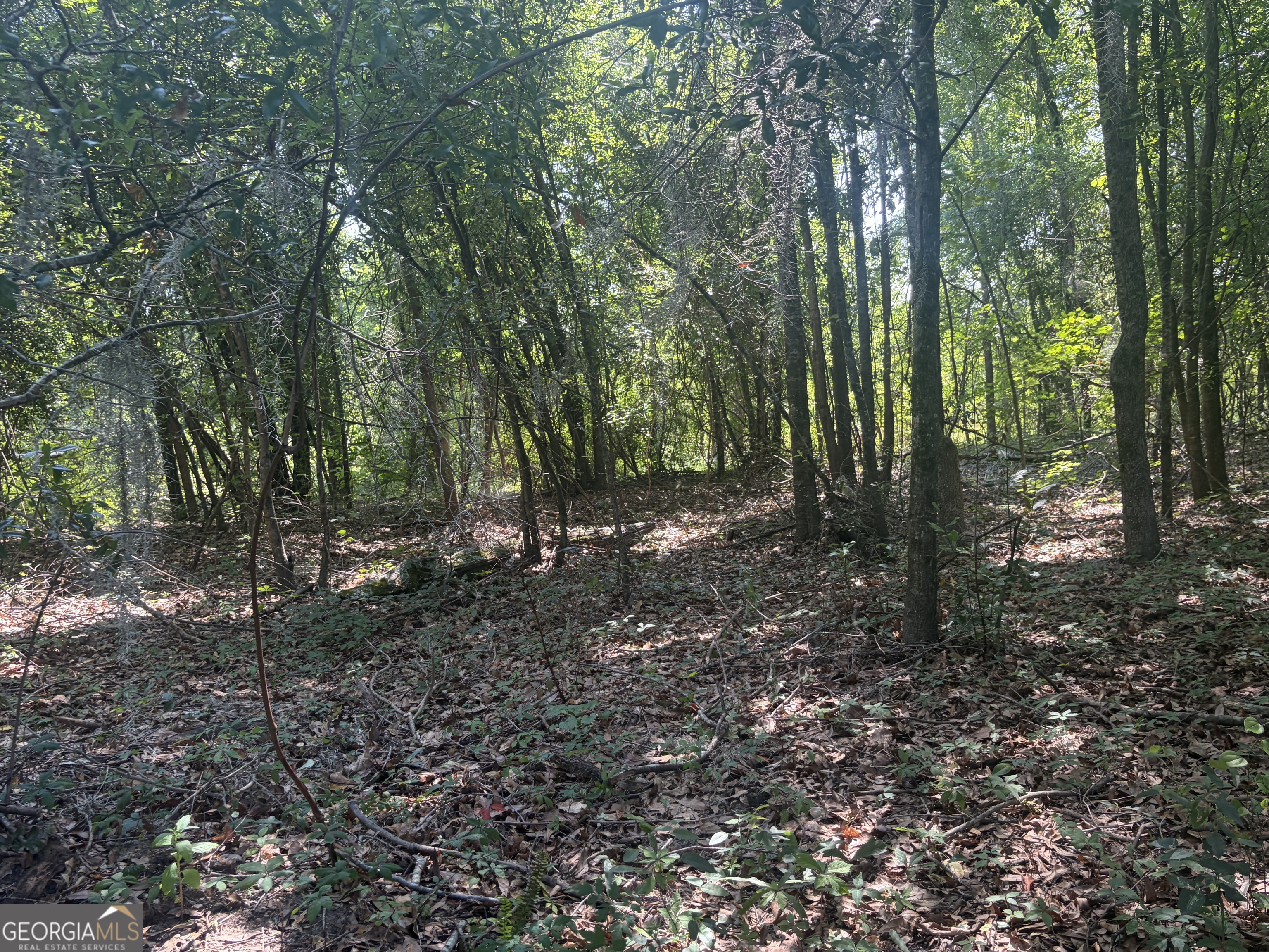 0 Highway 17 Property Photo 17