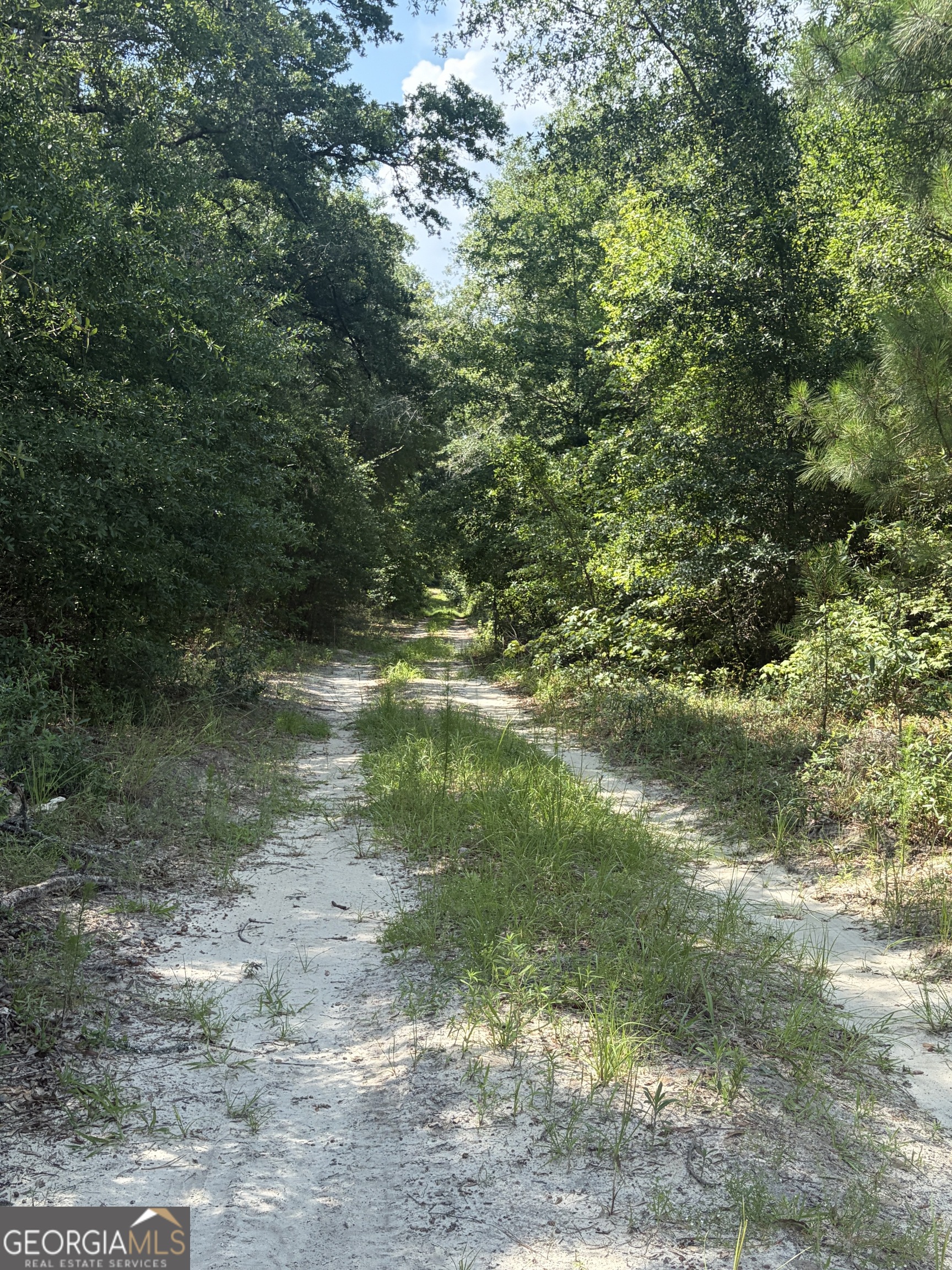 0 Highway 17 Property Photo 18