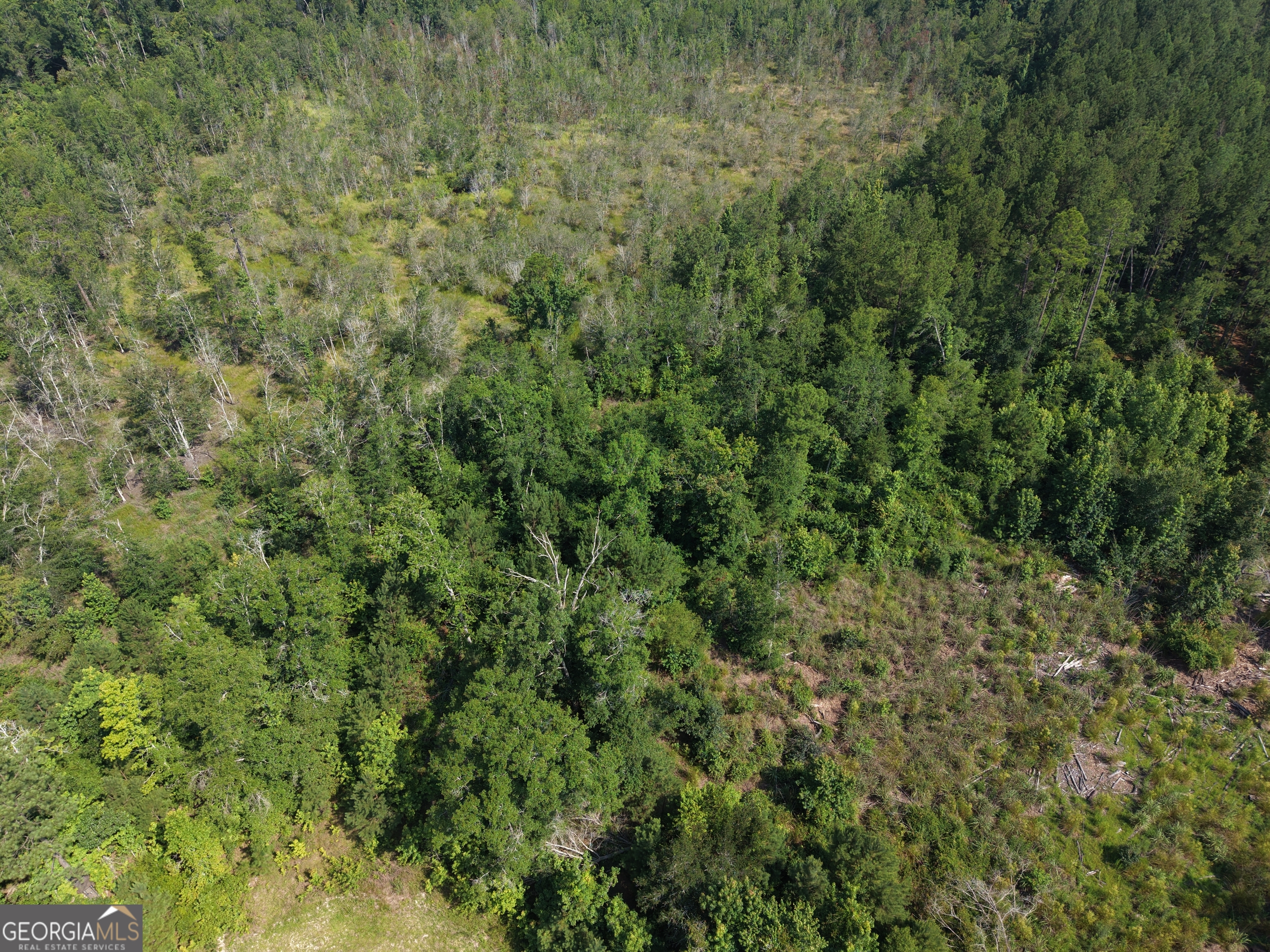 0 Highway 17 Property Photo 19