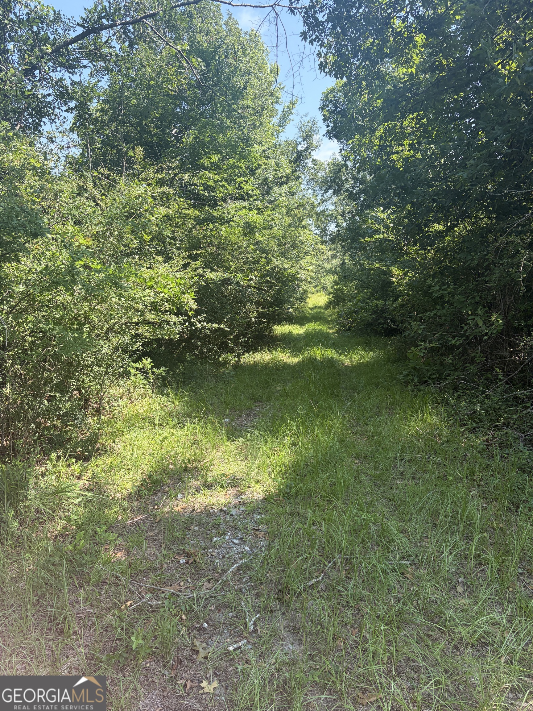 0 Highway 17 Property Photo 20